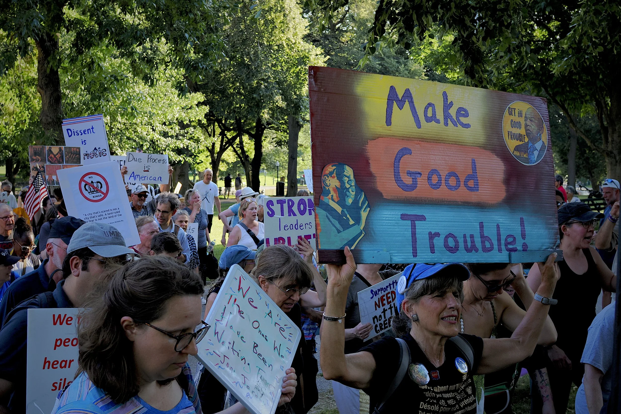 Protestors on a summer day holding signs saying things like "Make Good Trouble" "No Kings" "Dissent is Patriotic" "Due Process is American" "Strong leaders uplift" and "We are the ones we have been waiting for"
