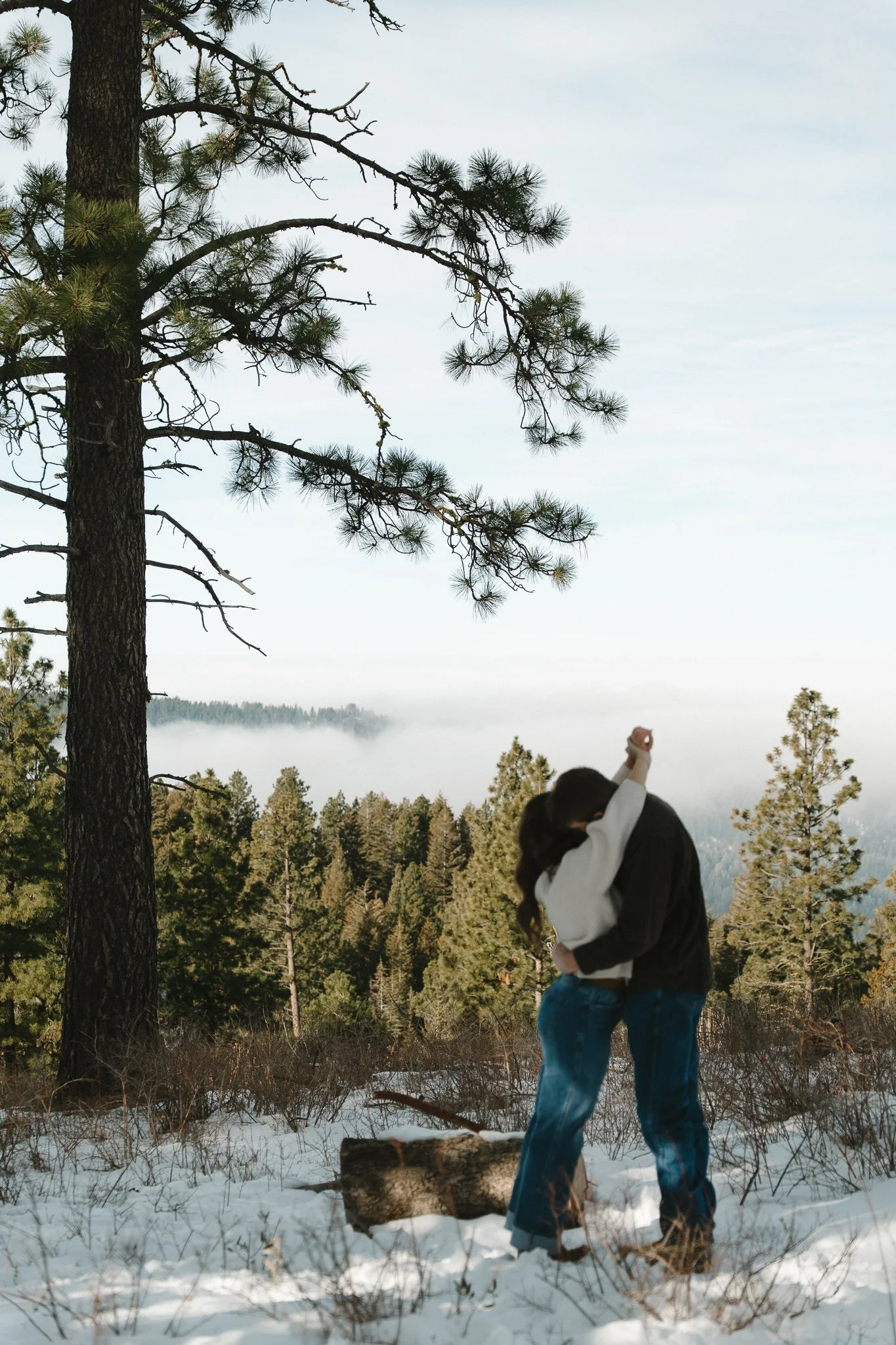 A couple sharing a kiss while embracing in a snowy forest, with evergreen trees and a foggy landscape in the background.