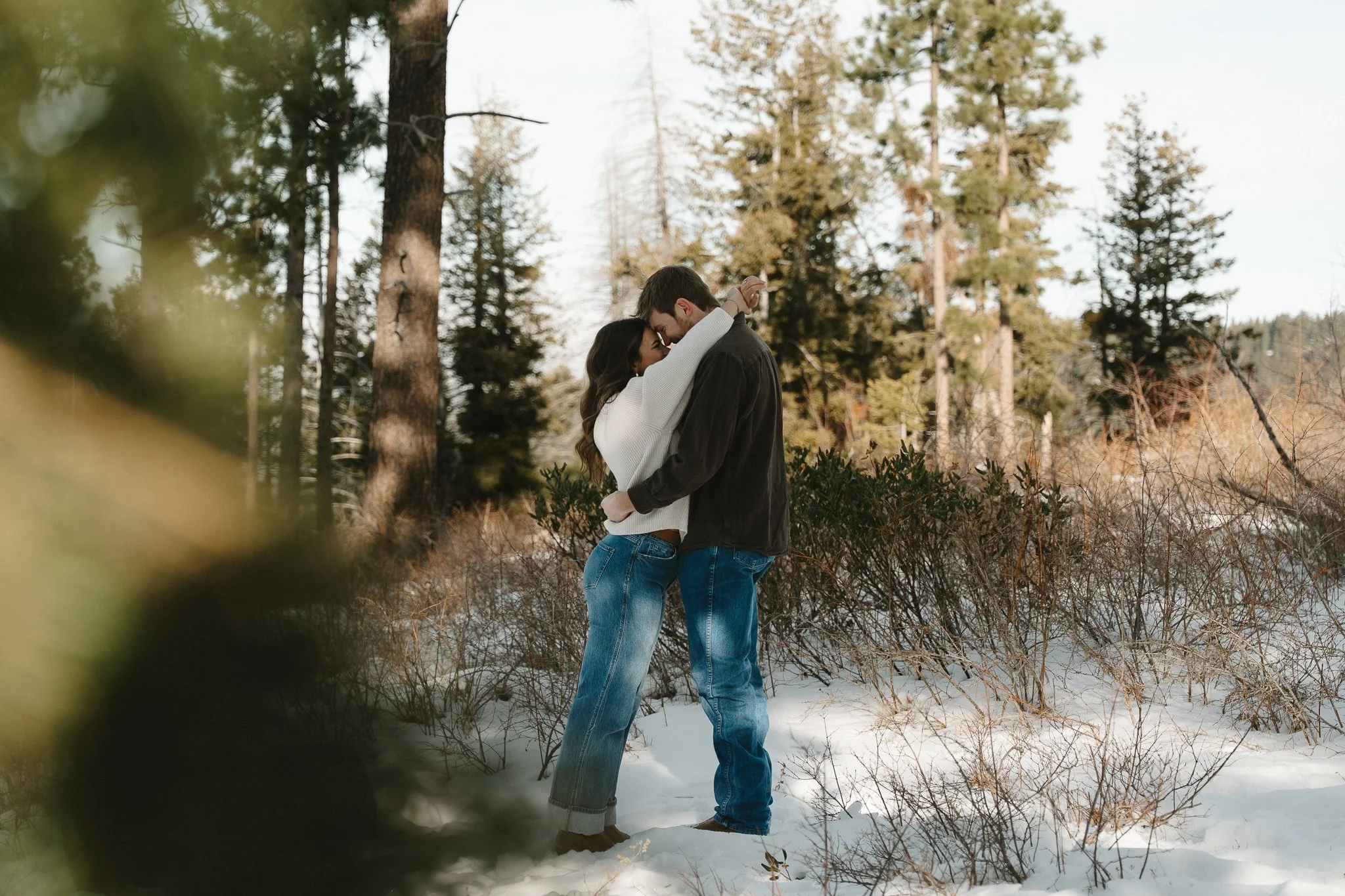 A couple stands close together in a snowy forest, embracing with their foreheads touching, surrounded by tall trees and winter bushes.