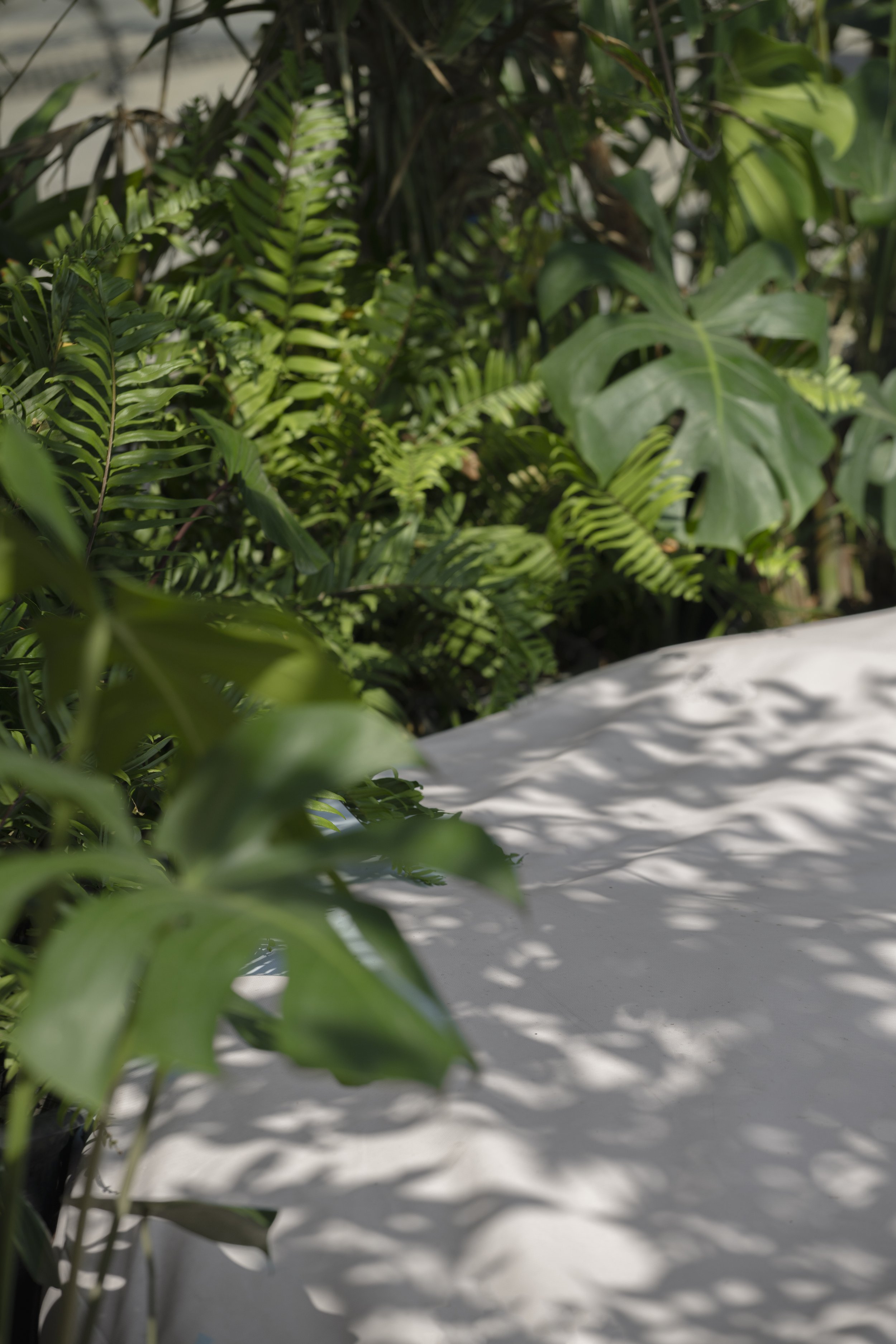 Fall Studio Point of Peace 26.jpeg