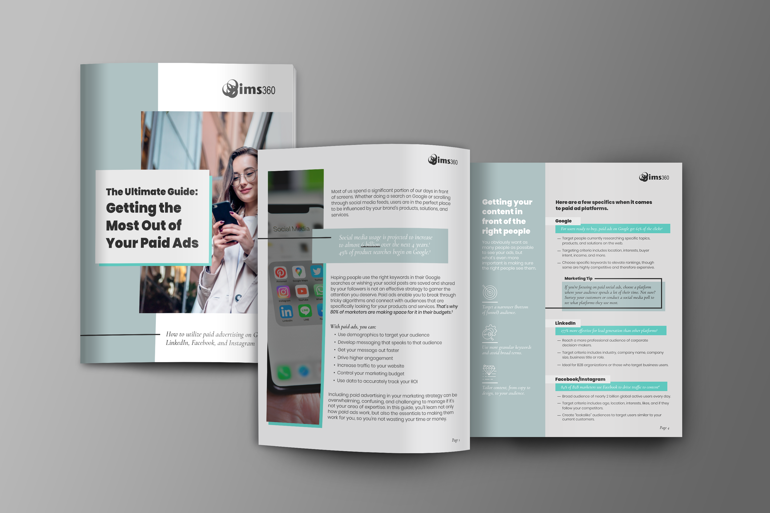 ims ebook.png