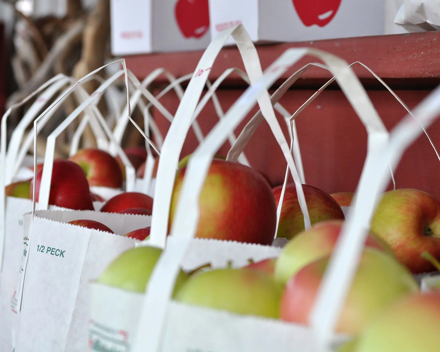bags of freshly picked apples at a farmers market