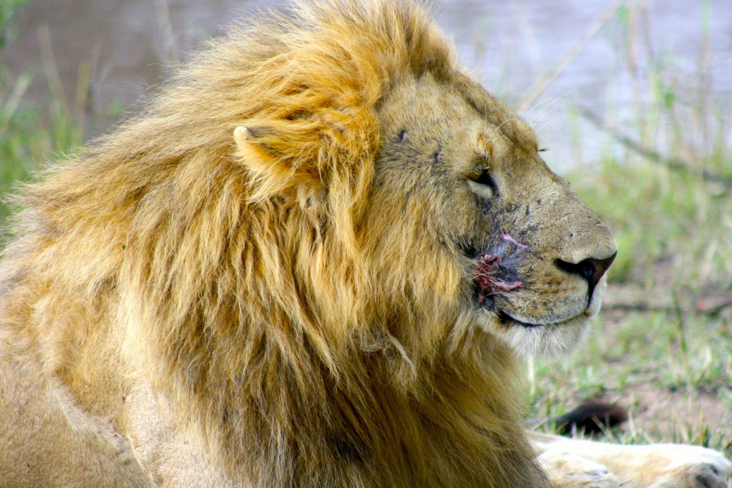Most Process Is Just Scar Tissue: How to Tell Good Process from Bureaucratic Buildup