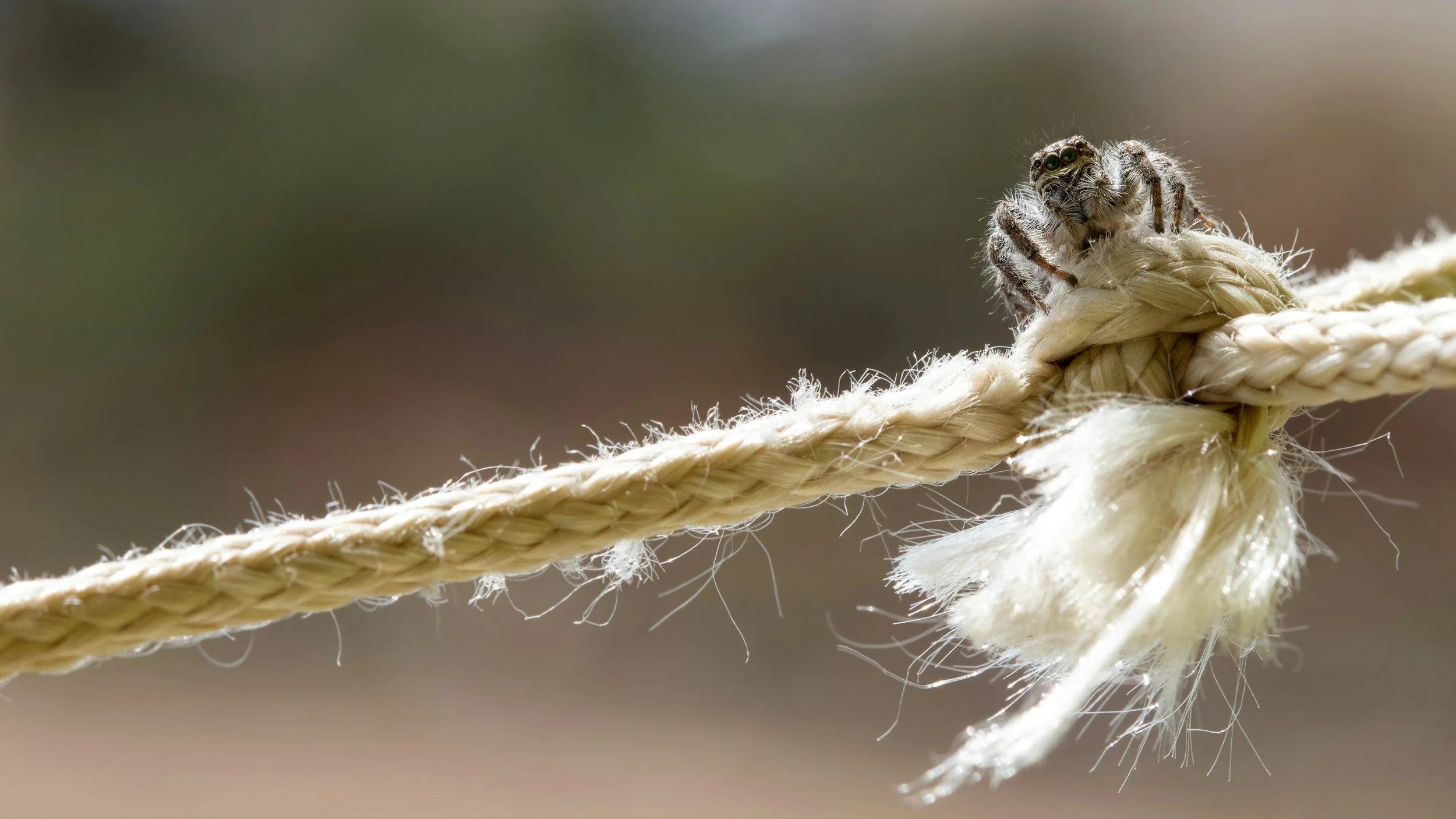 How to Build a Prioritization System That Survives Contact With a Sales Team