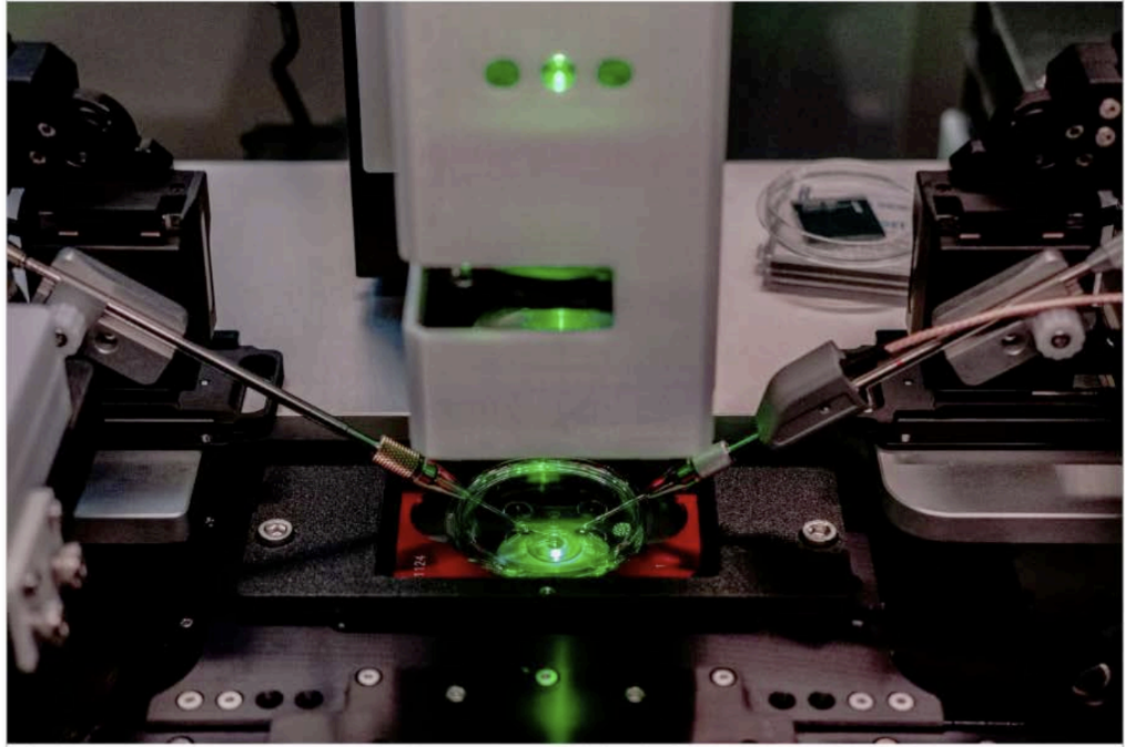 IVF Automation: The Most Human Story About Robots and AI