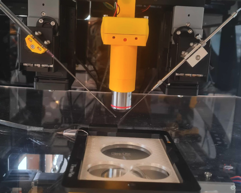 IVF Lab Automation Achieves a First: Five Live Births from Robotic Systems