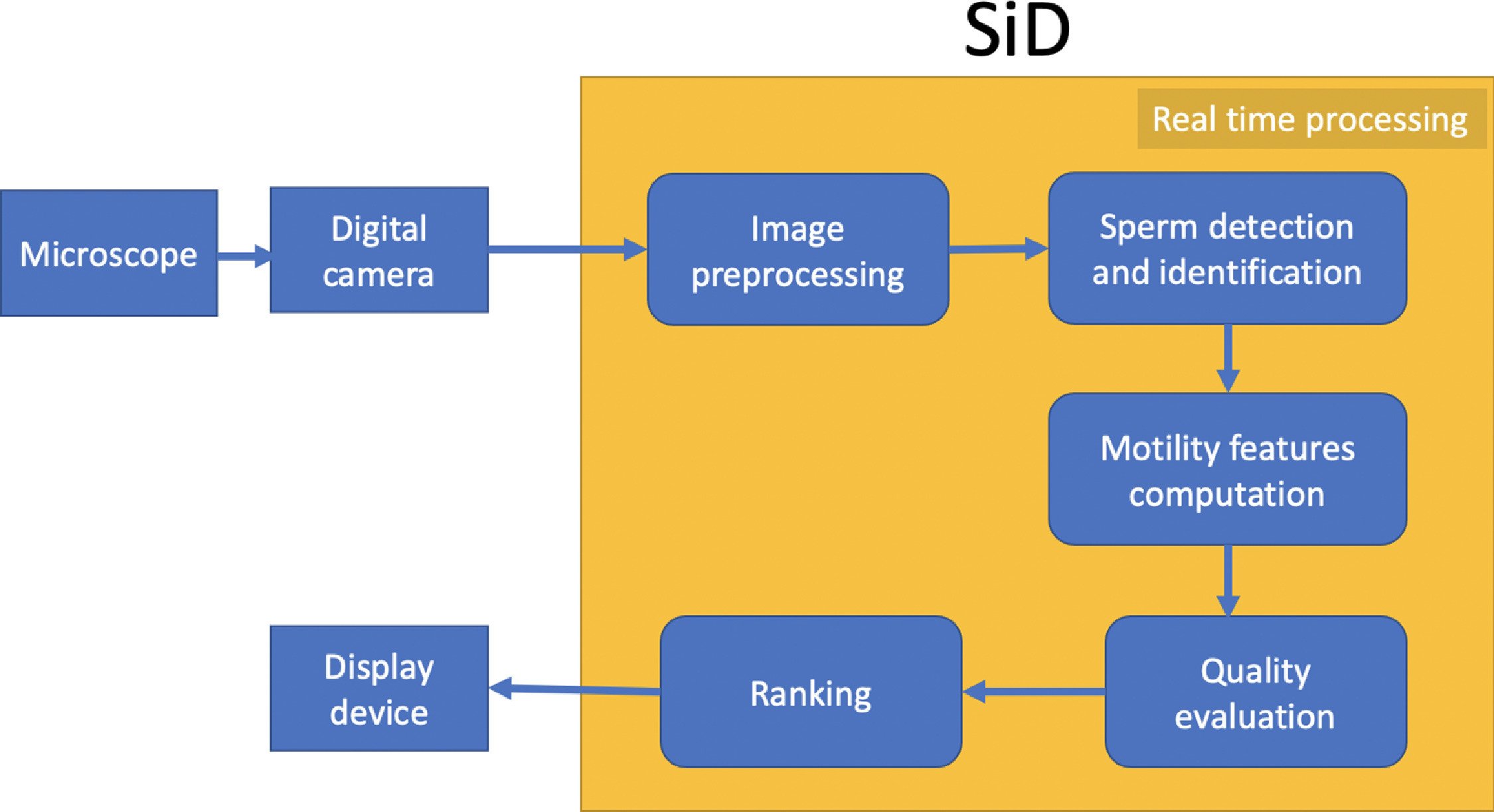 Computer Software SiD Assisted Real Time Single Sperm Selection 