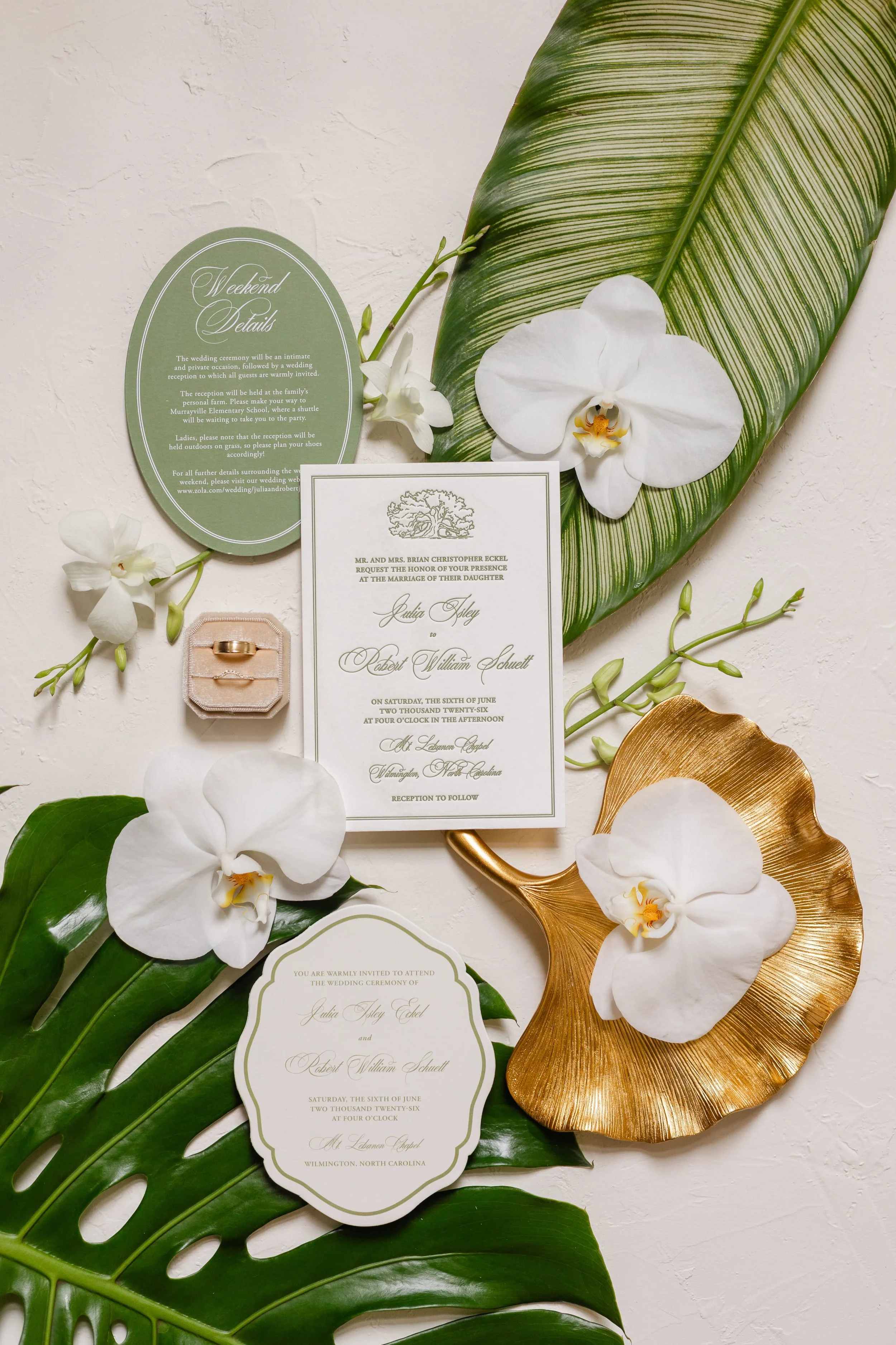 kenneday-designs-wedding-invitation-custom-tropical-live-oak-sage-green.jpg
