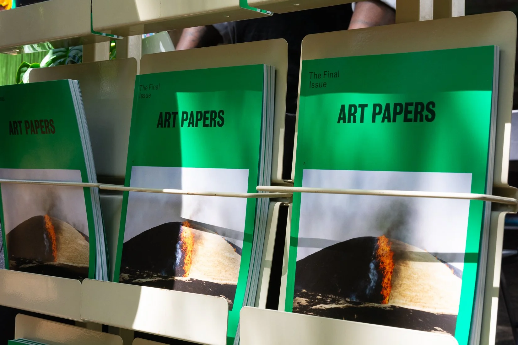 Art Papers: Final Ecology