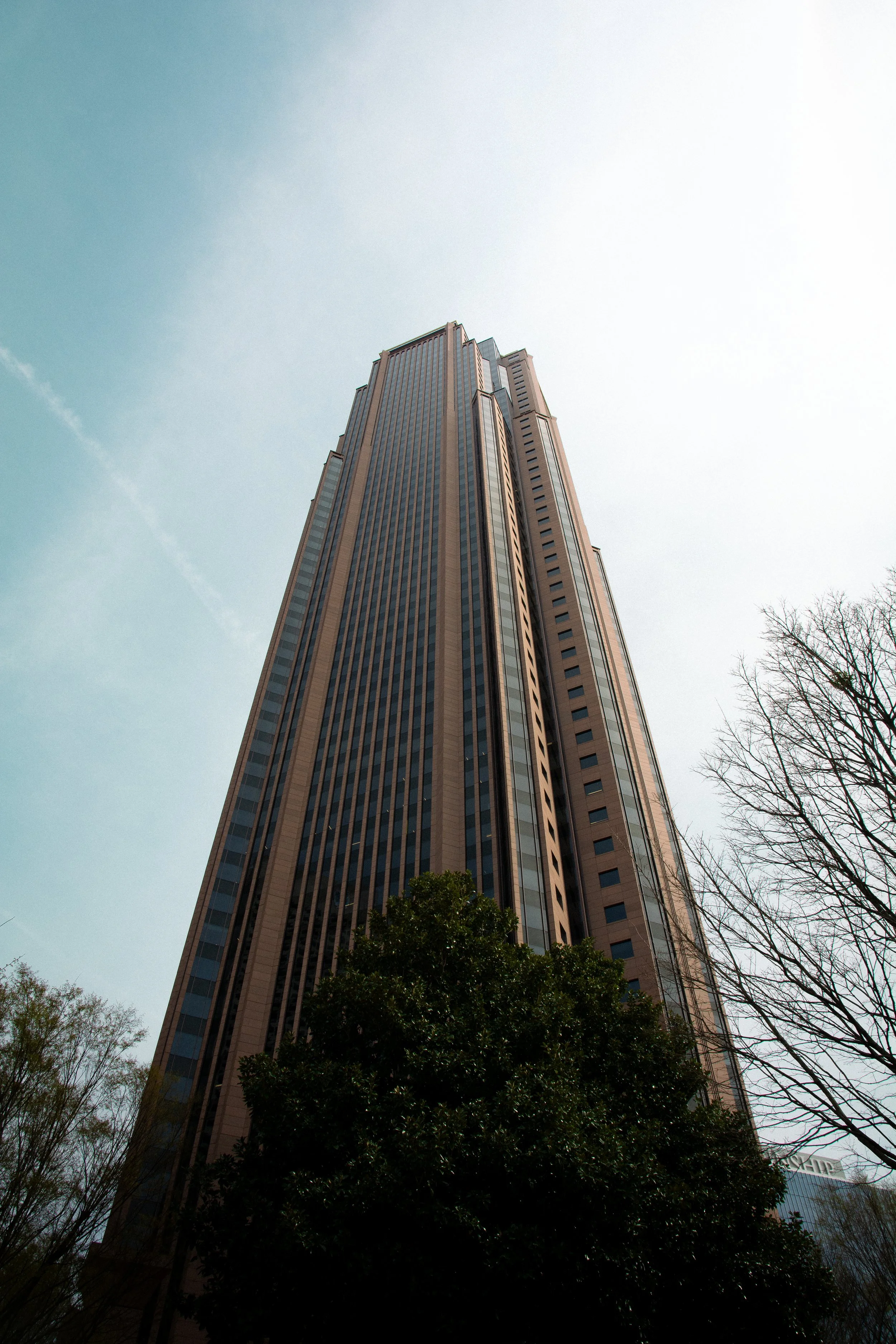 DSC_9477.jpg