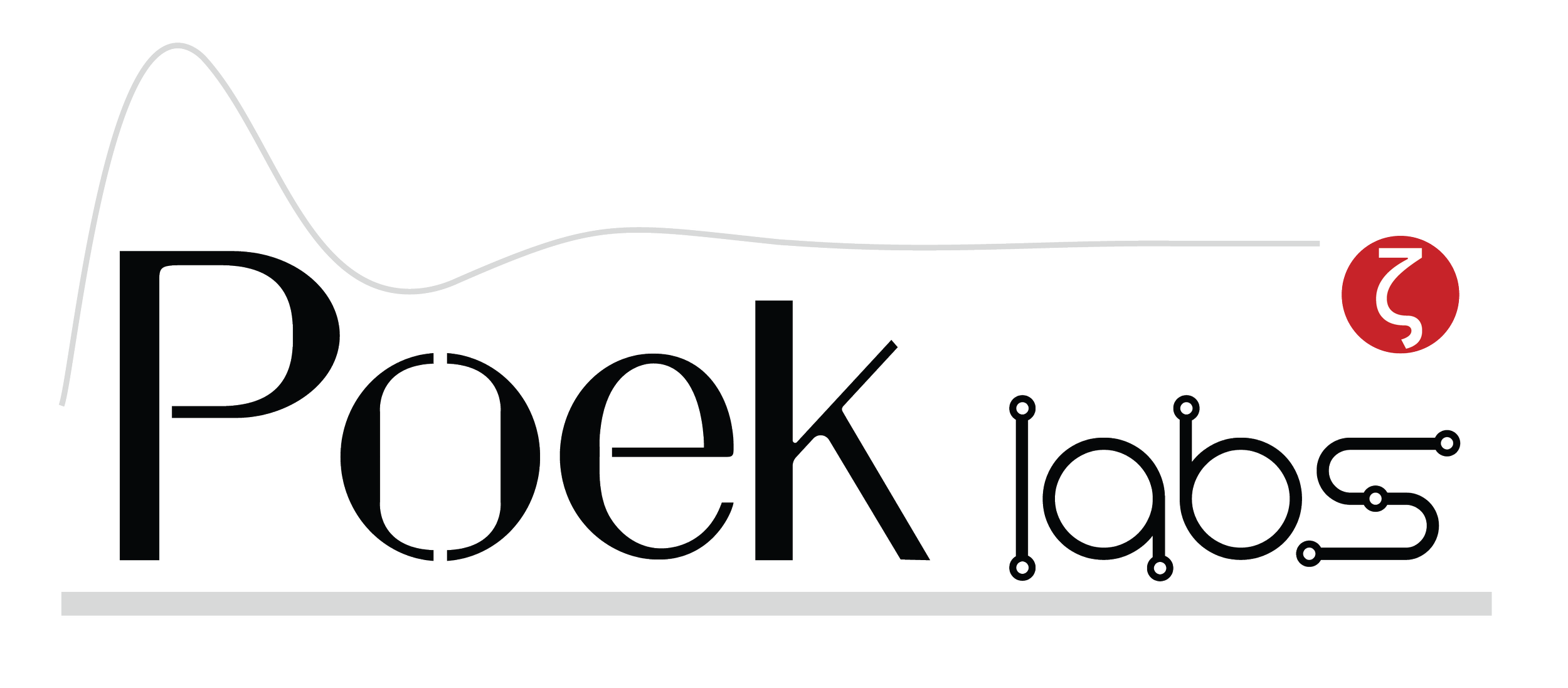 Logo of Peek Labs with a stylized mountain graphic and a red circle containing a white squiggly line.