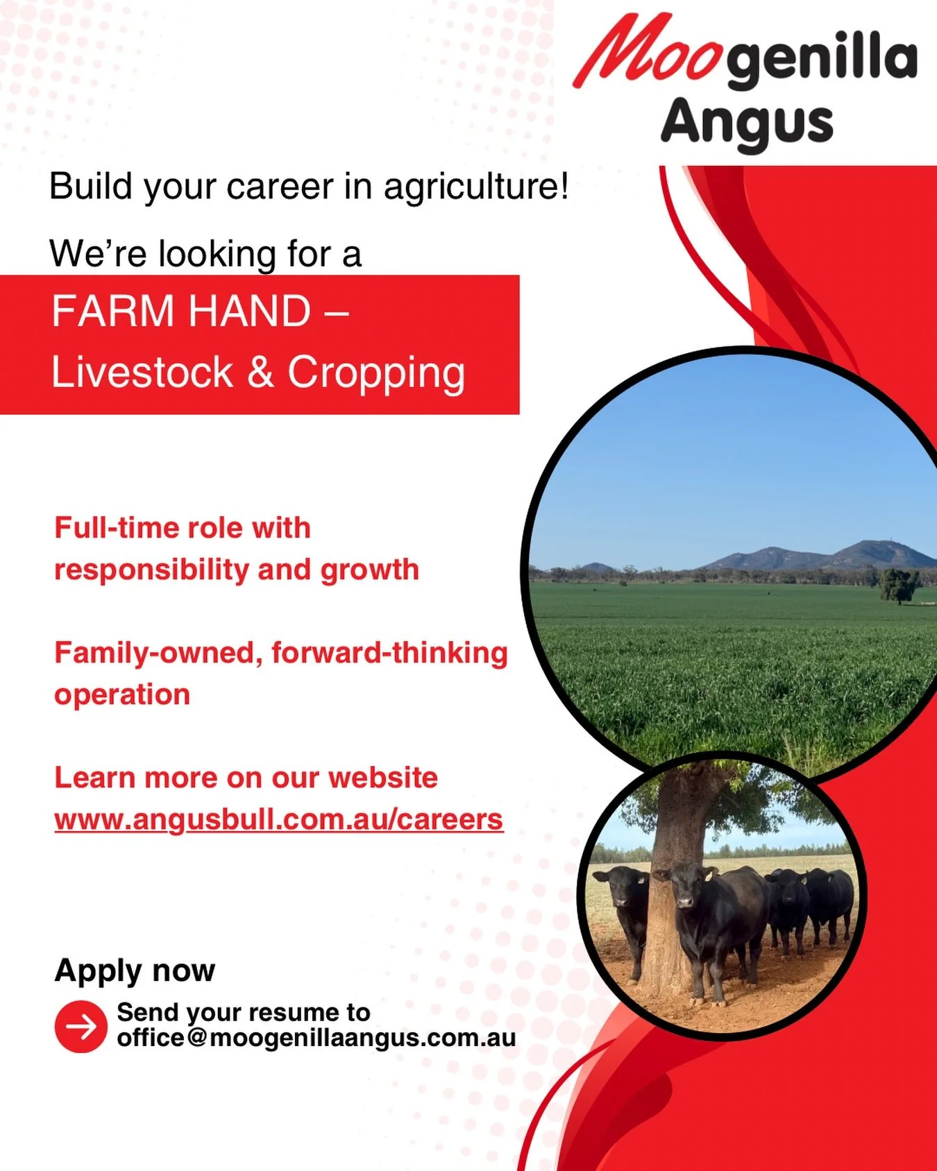 We&rsquo;re still looking for the right person to join our team!

This isn&rsquo;t just a farm job. It&rsquo;s an opportunity to be part of a progressive livestock and cropping business with a clear direction and long-term vision.

We&rsquo;re open t