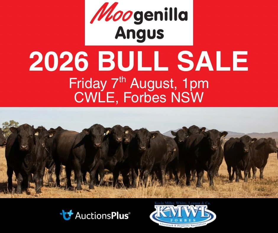 Save the date! Catalogue and more information coming very soon!

@kmwl.forbes @centralwestlivestockexchange @angusaustralia @auctionsplus