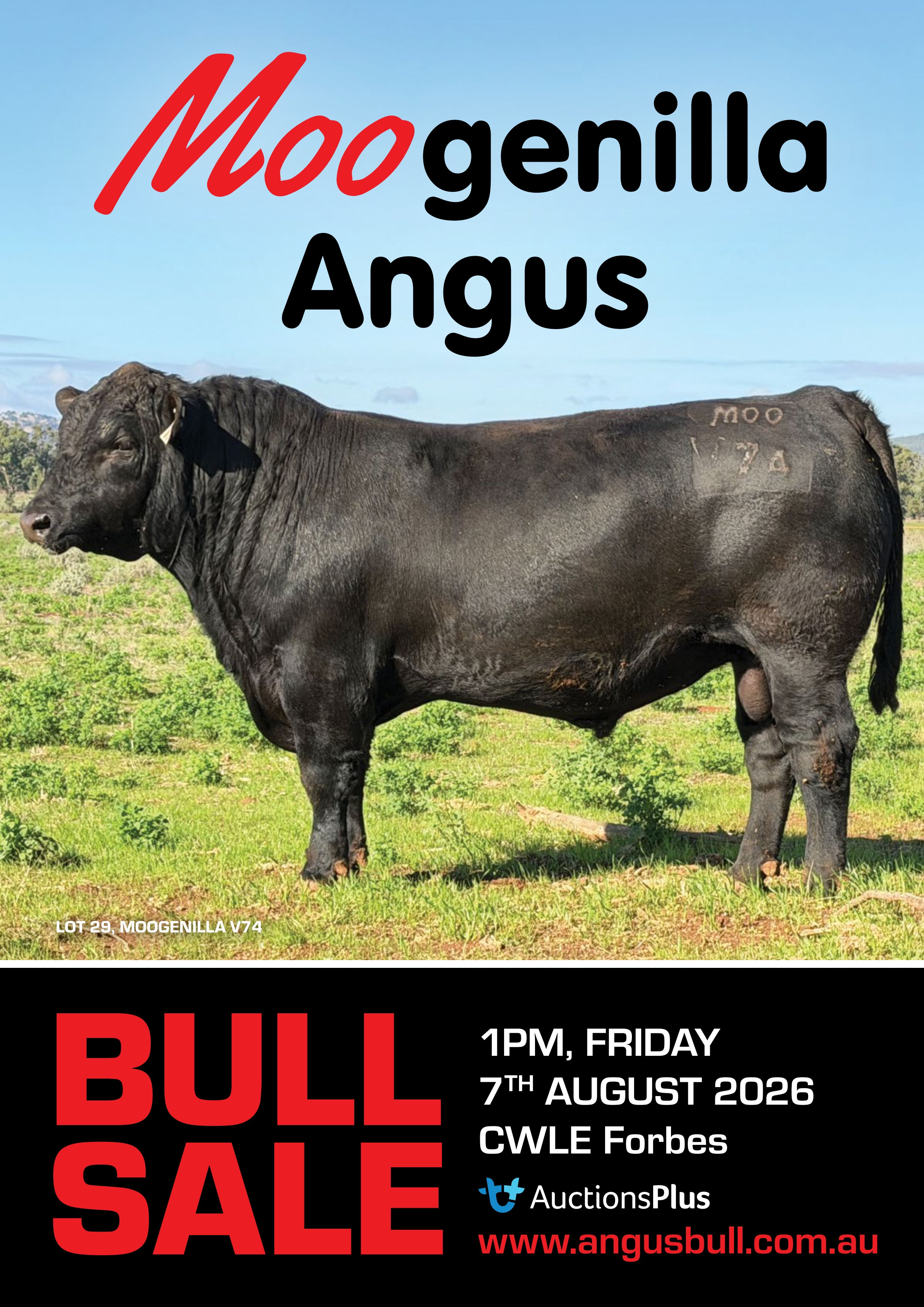 2026 bull sale catalogue cover