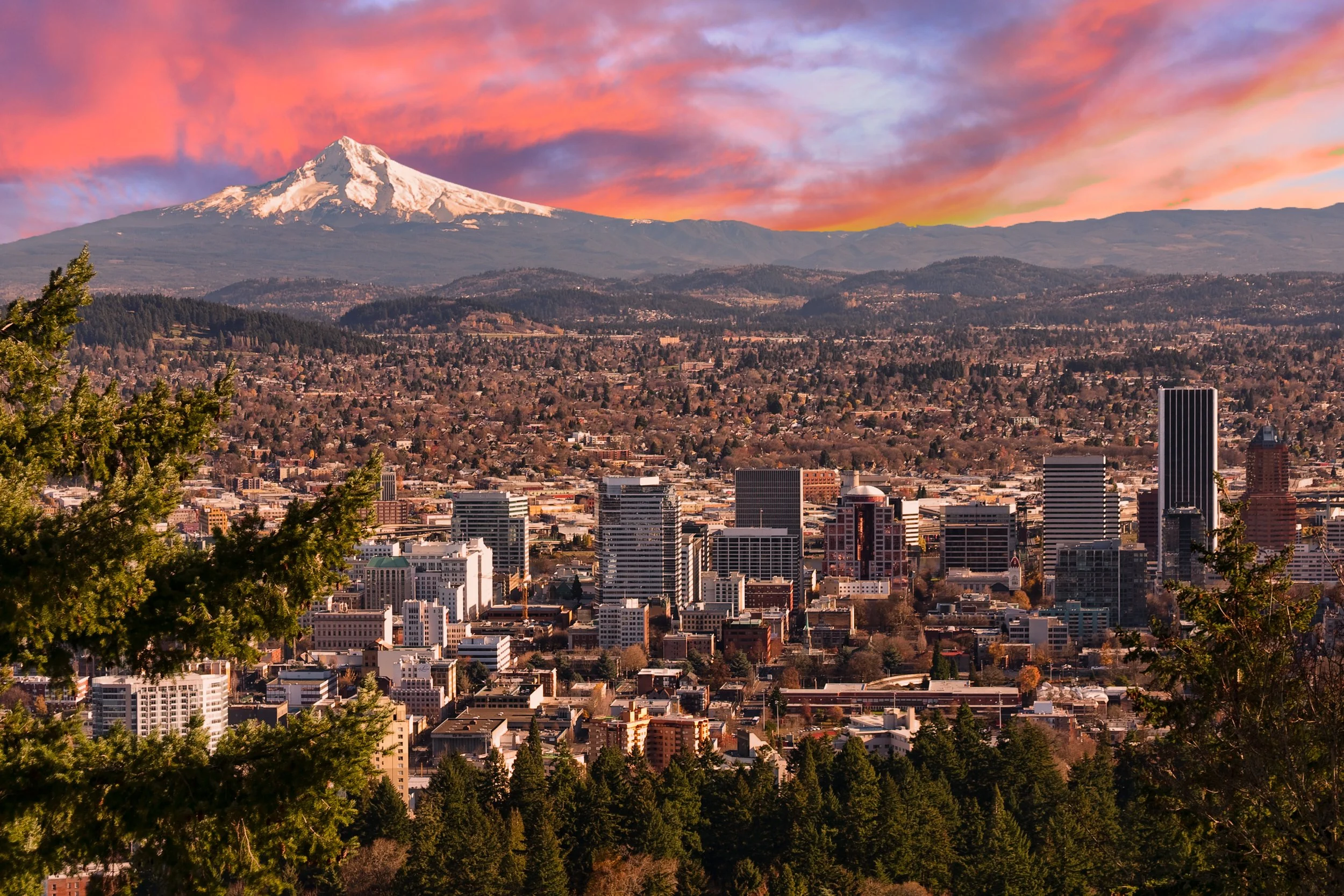 Tim’s British Guide to Surviving Portland