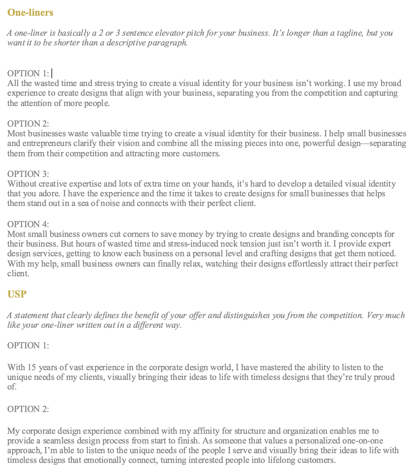 Text describing different options and benefits of business branding and design services, with sections on purpose, experience, and unique selling points.