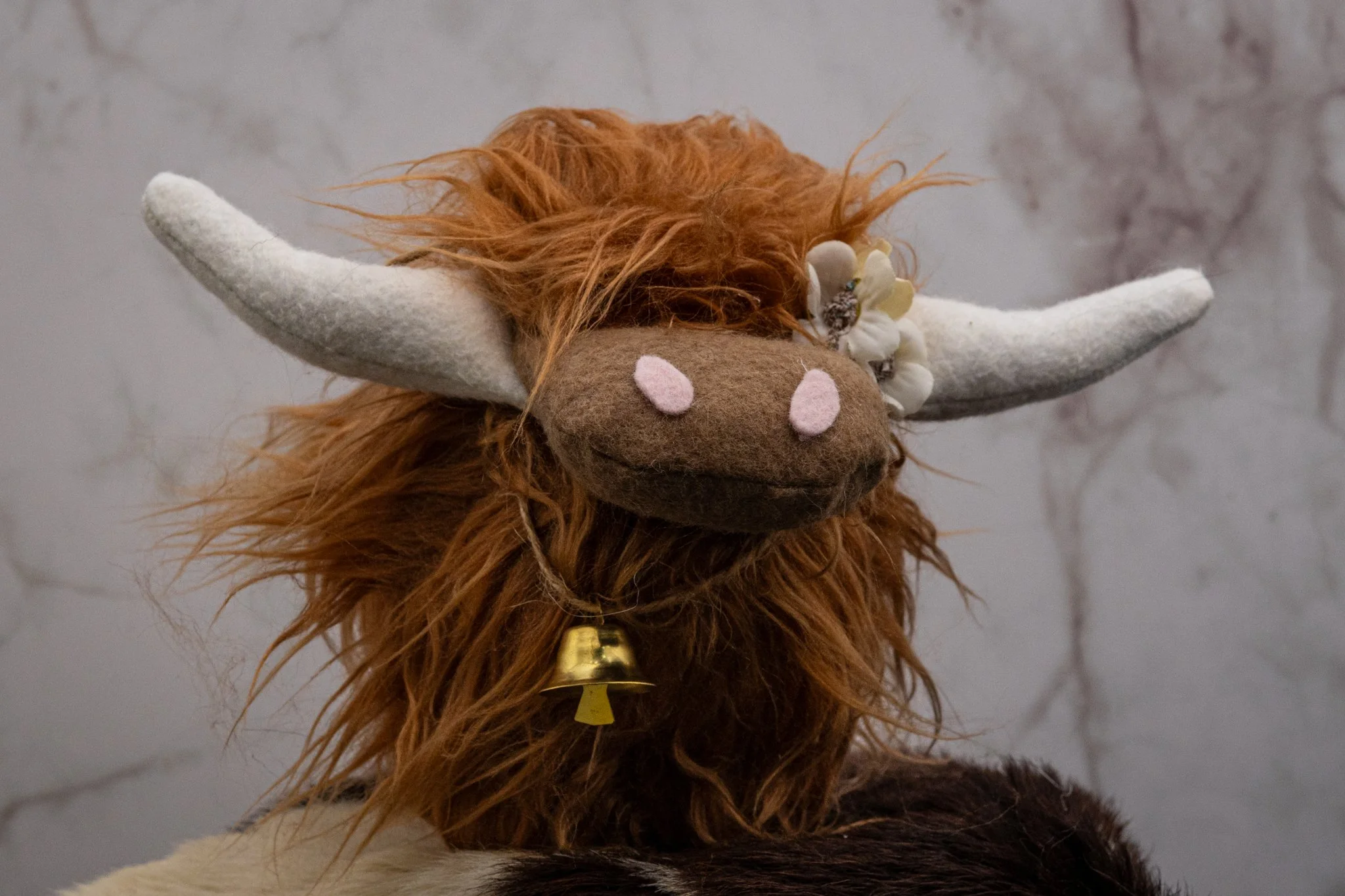 Ginger Front Floofie.jpg