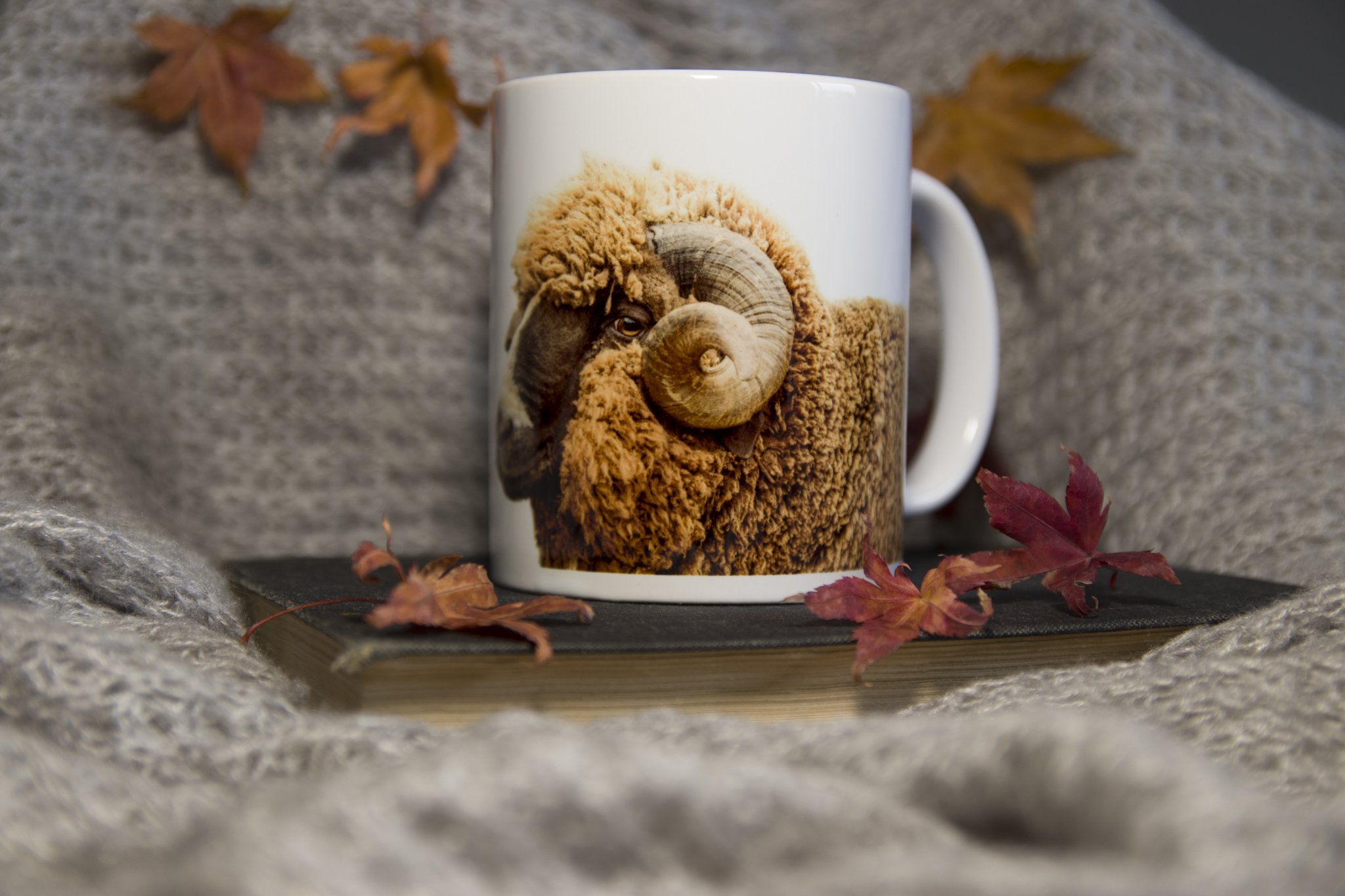 I Need A Cuppa And A Good Yarn Mug front
