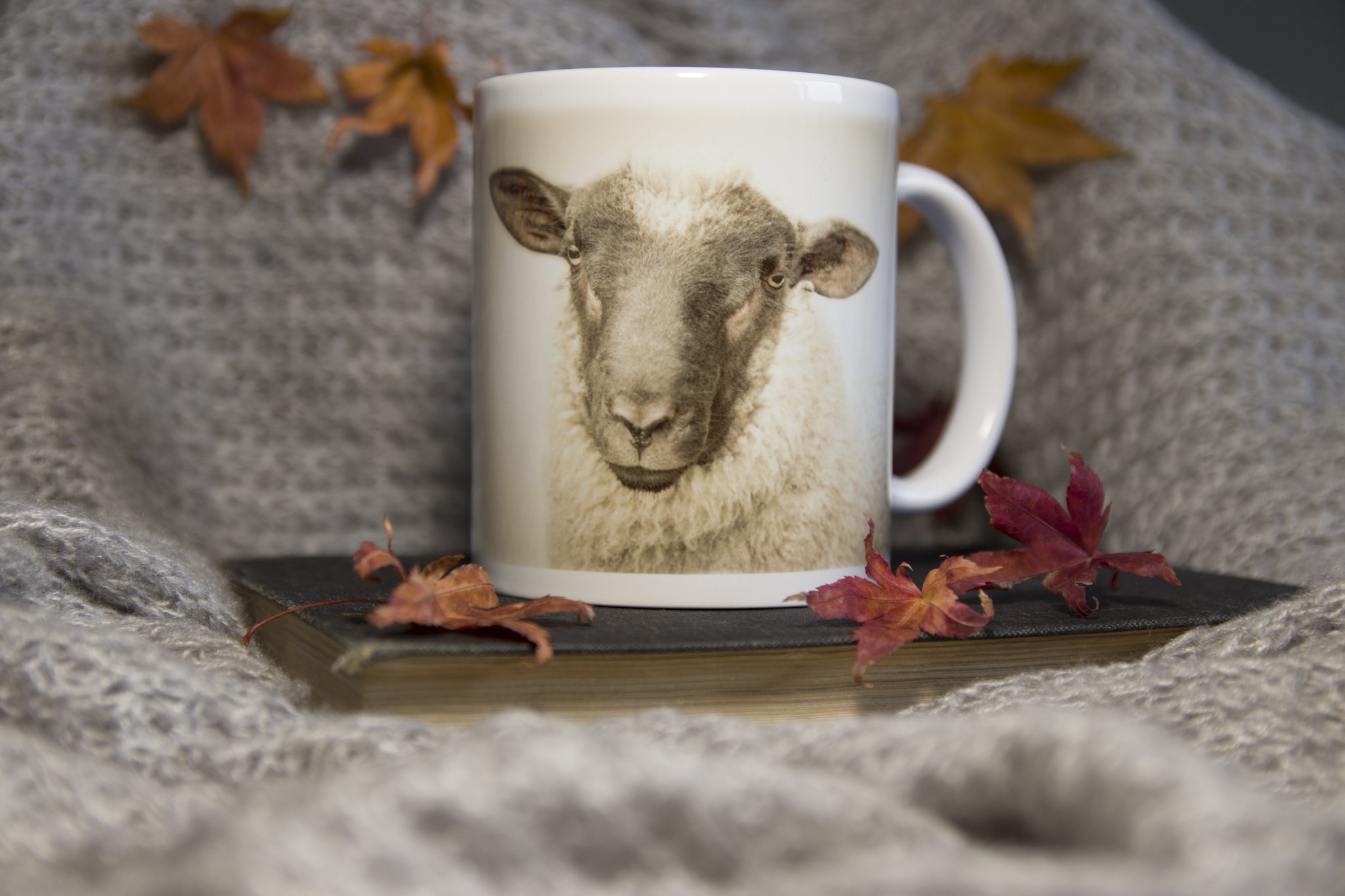 Wool Ewe Make Me A Cuppa? Mug front