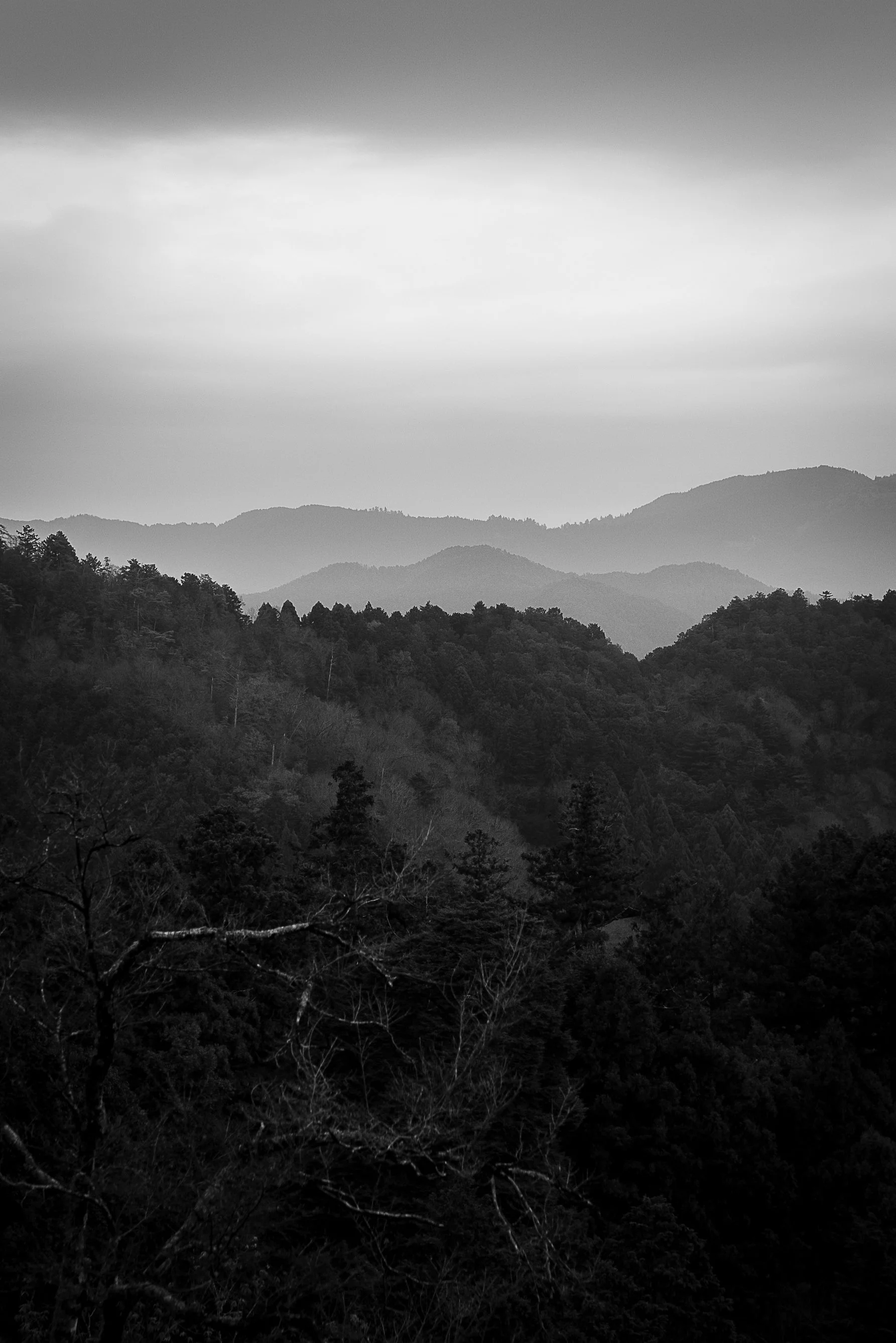 L1010172-2.jpg