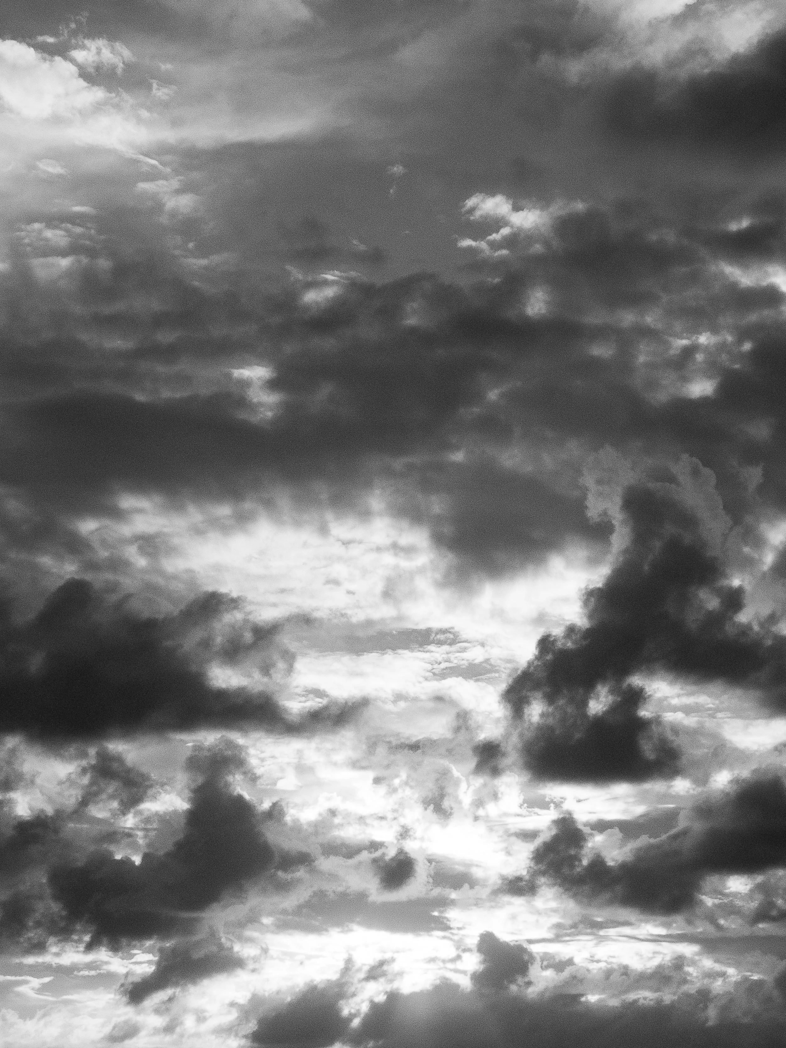 DSCF1954.jpg