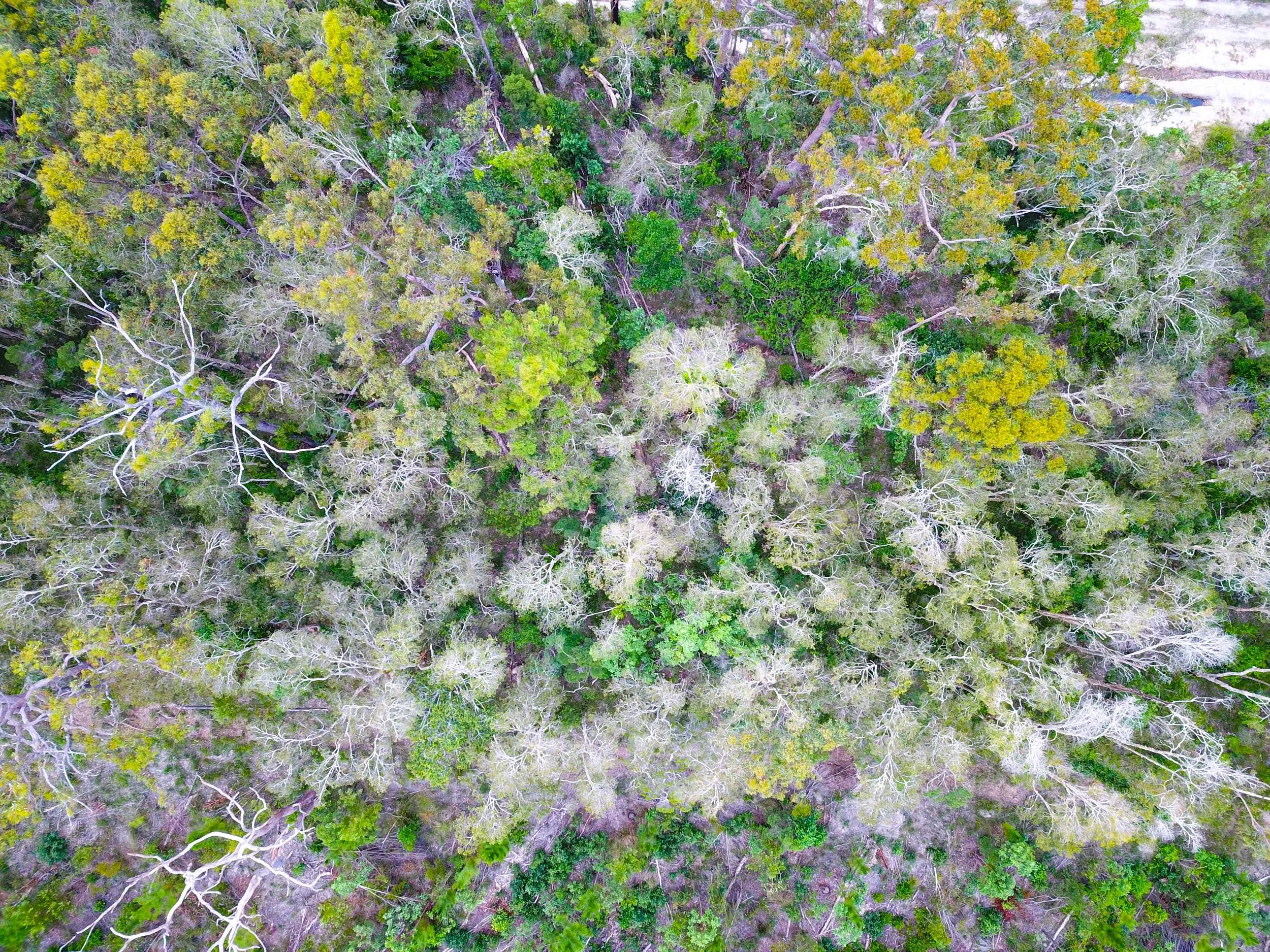 DJI_0114.jpg