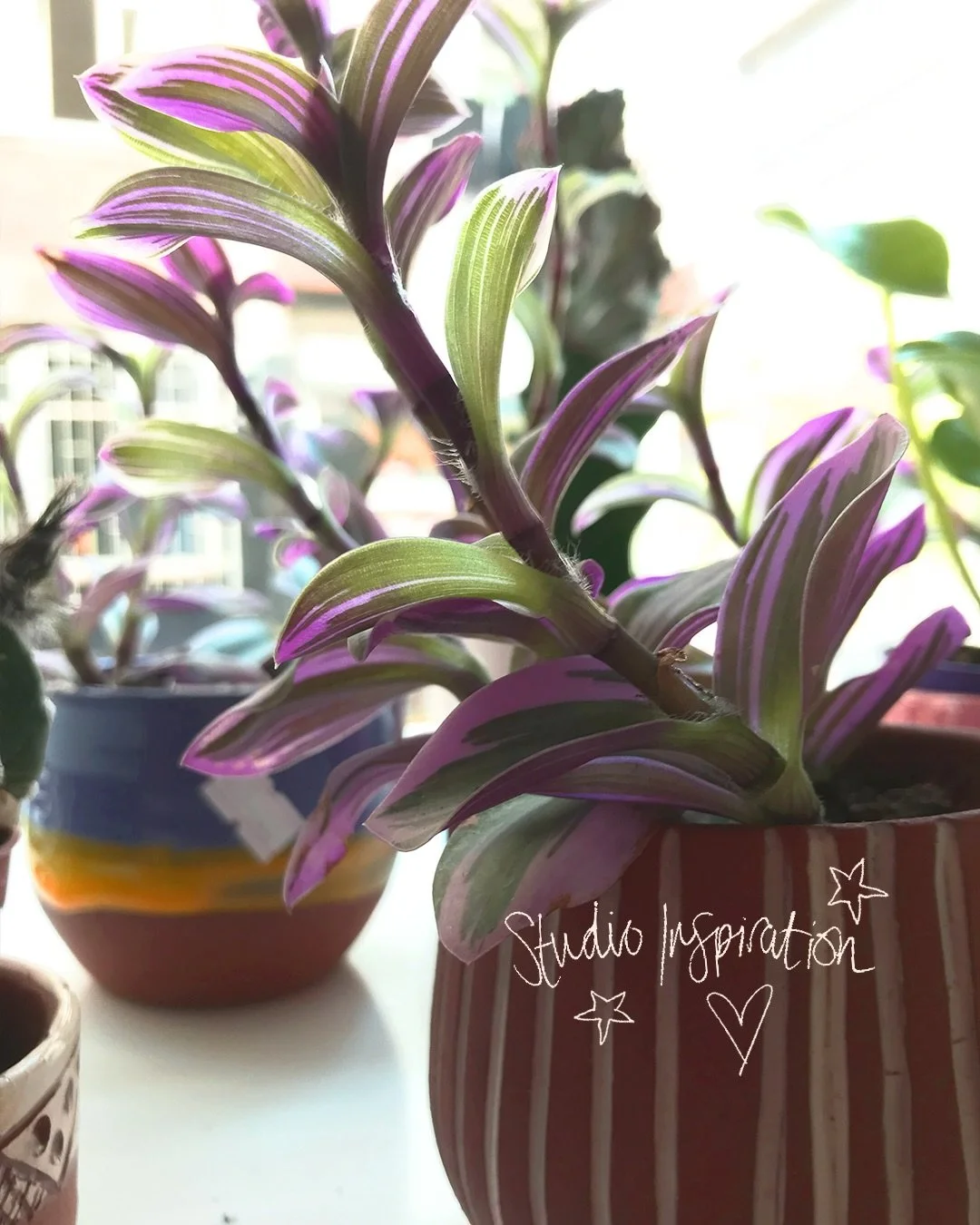 Every collection starts with a place 🌿

This was my favourite coffee shop in Istanbul, we used to live round the corner and spent so much time in there.

It was filled with beautiful exotic potted plants that I didn&rsquo;t realise at the time becam