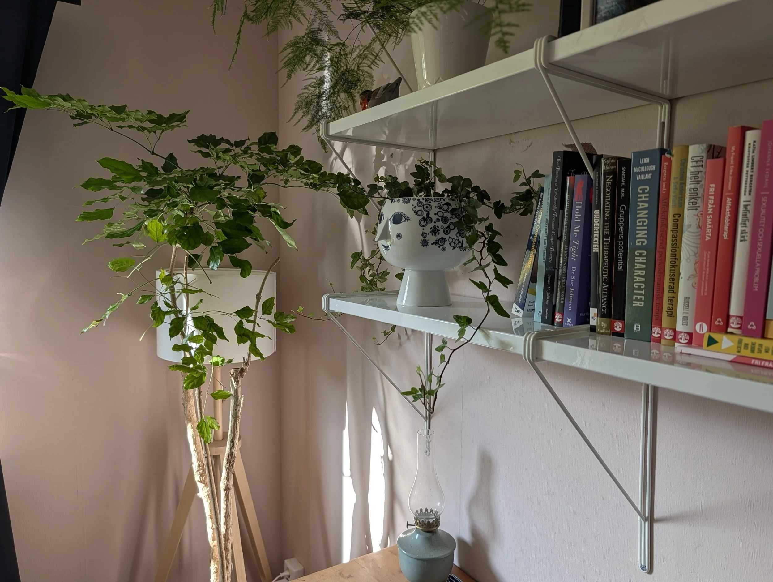 Bokhylla och blommor i hemmakontor där videobesök utförs