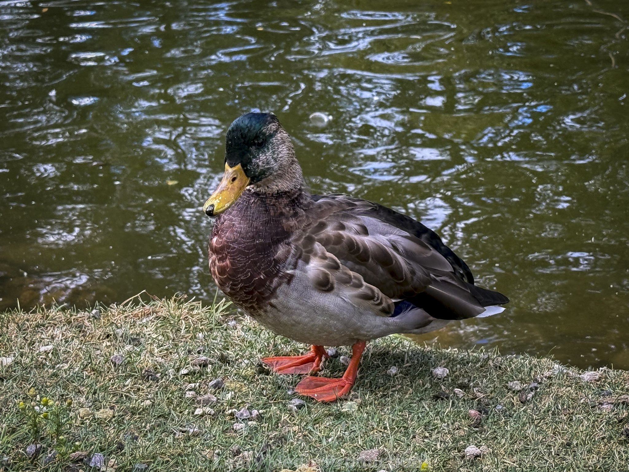 Grand Lake, Colorado 2025