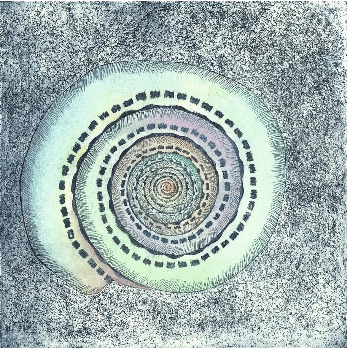 home giacobbi roberta 2 .jpg