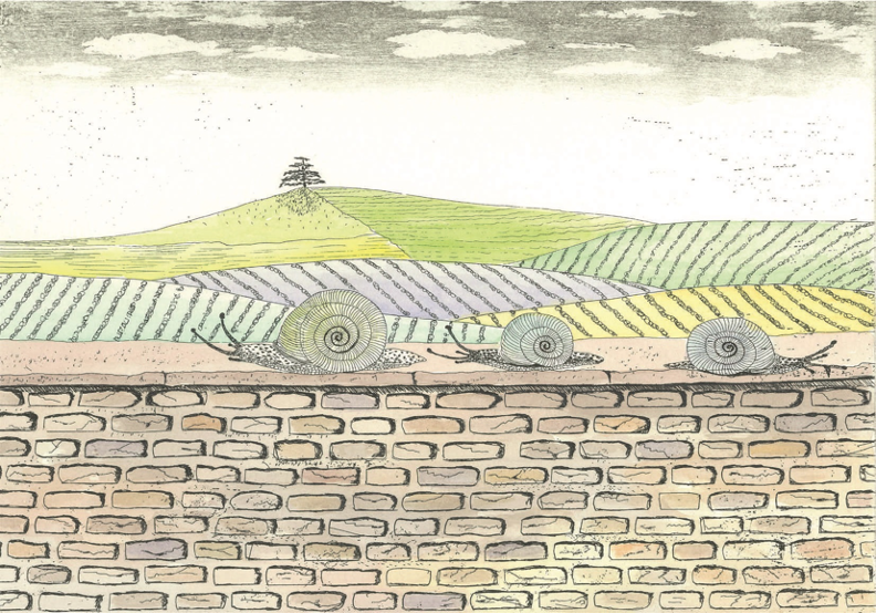 deux escargot roberta giacobbi1.png