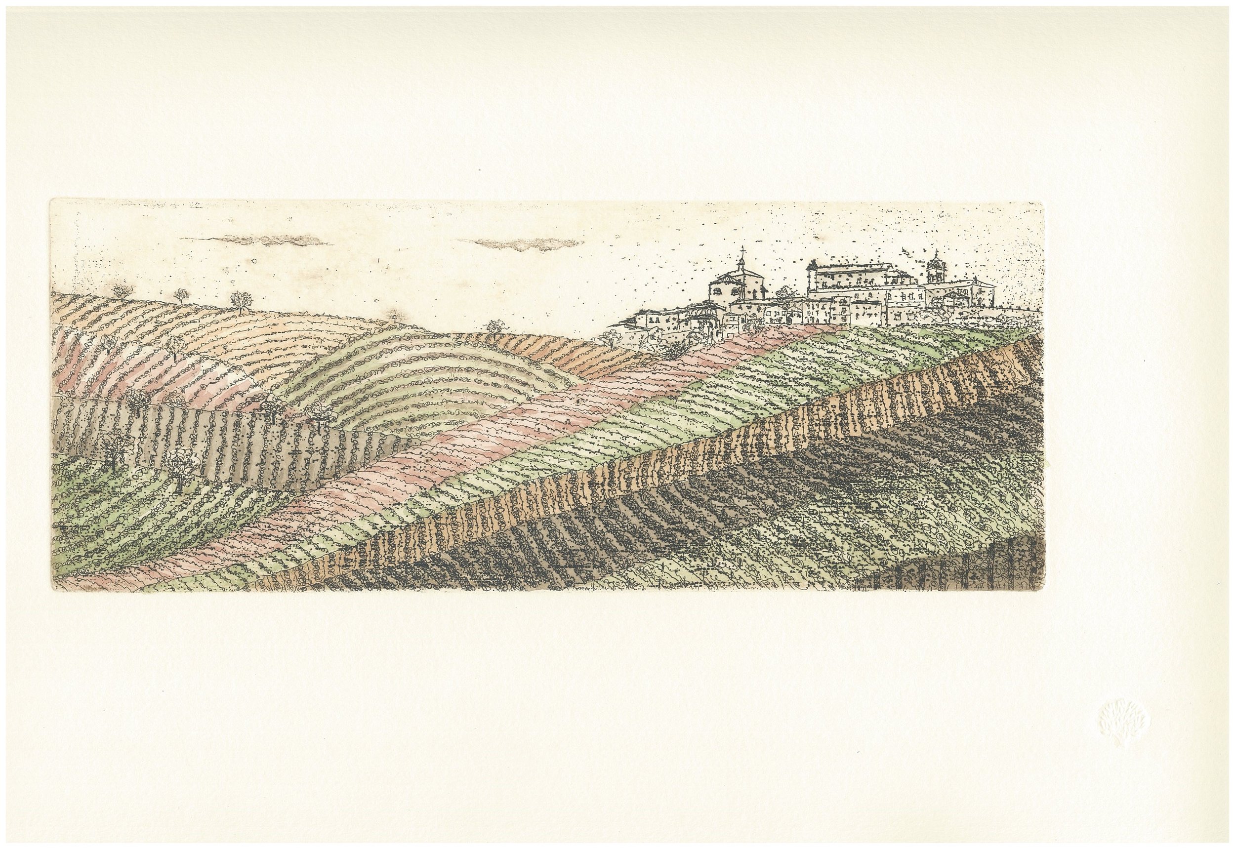 La morra color giacobbi.jpg