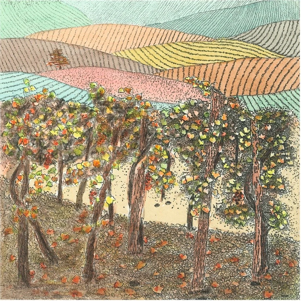 Profumo di langa color.jpg