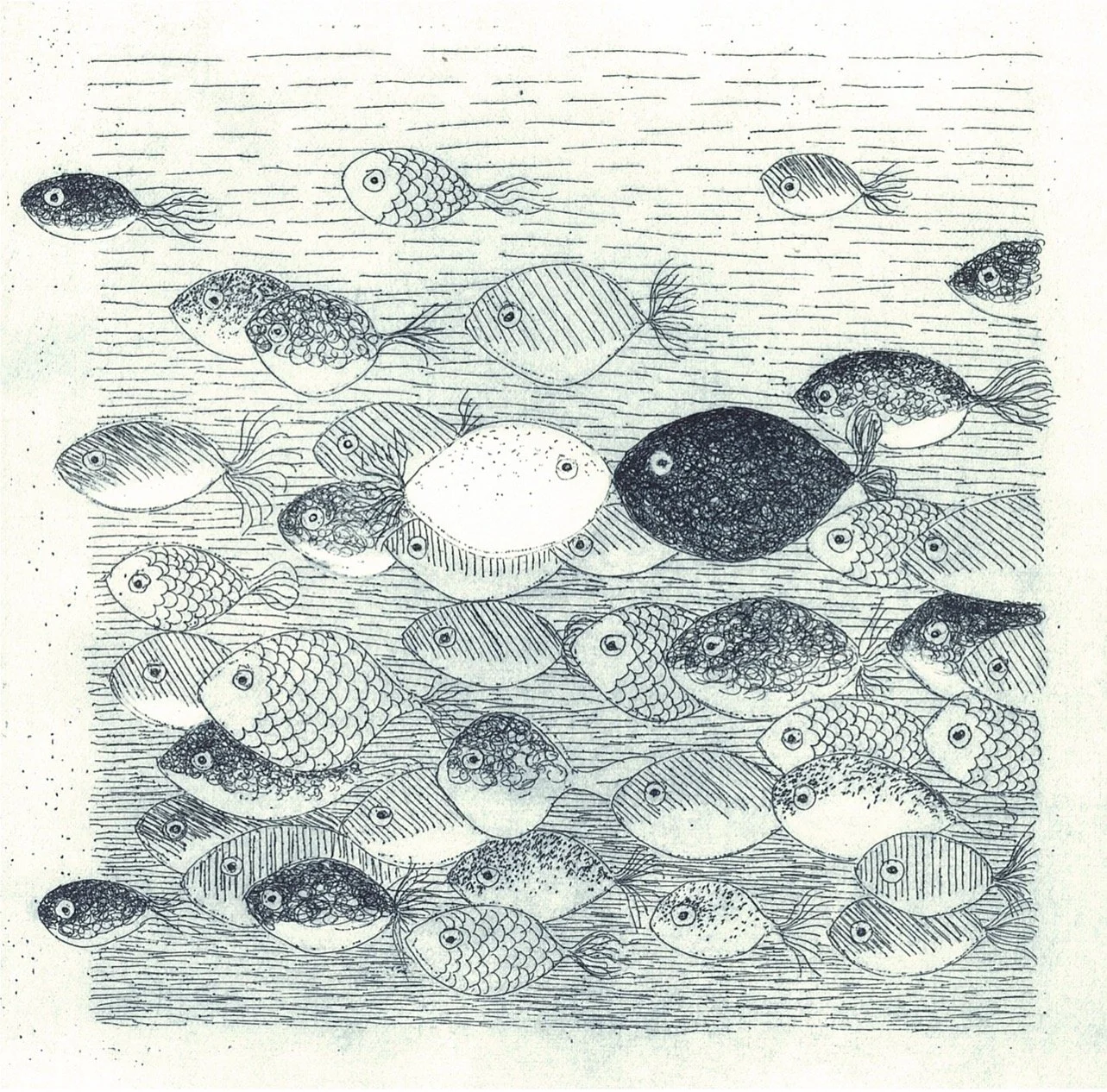 roberta giacobbi incisiani il pesce bianco.jpg .jpg