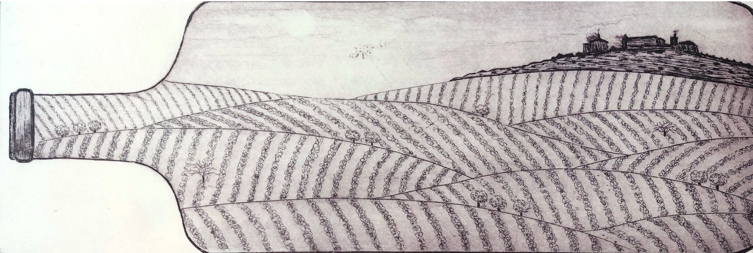 lamga in bottiglia giacobbi.jpg