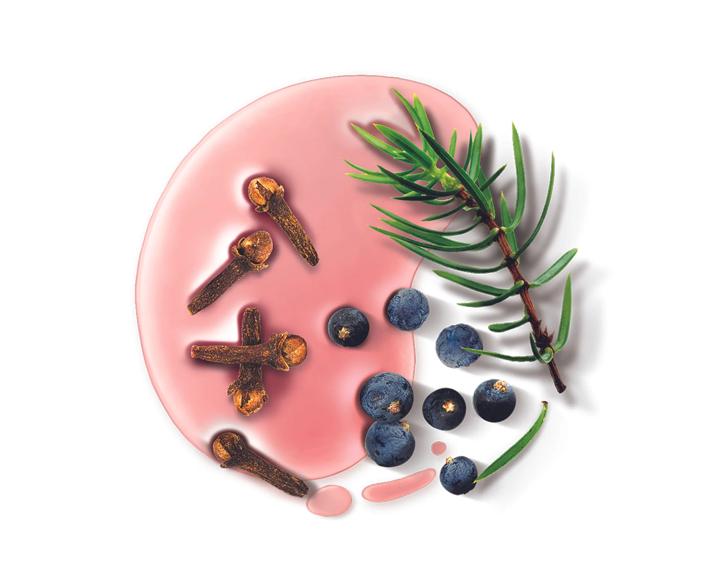 2 Signal_Integral 8_Clove Juniper.jpg