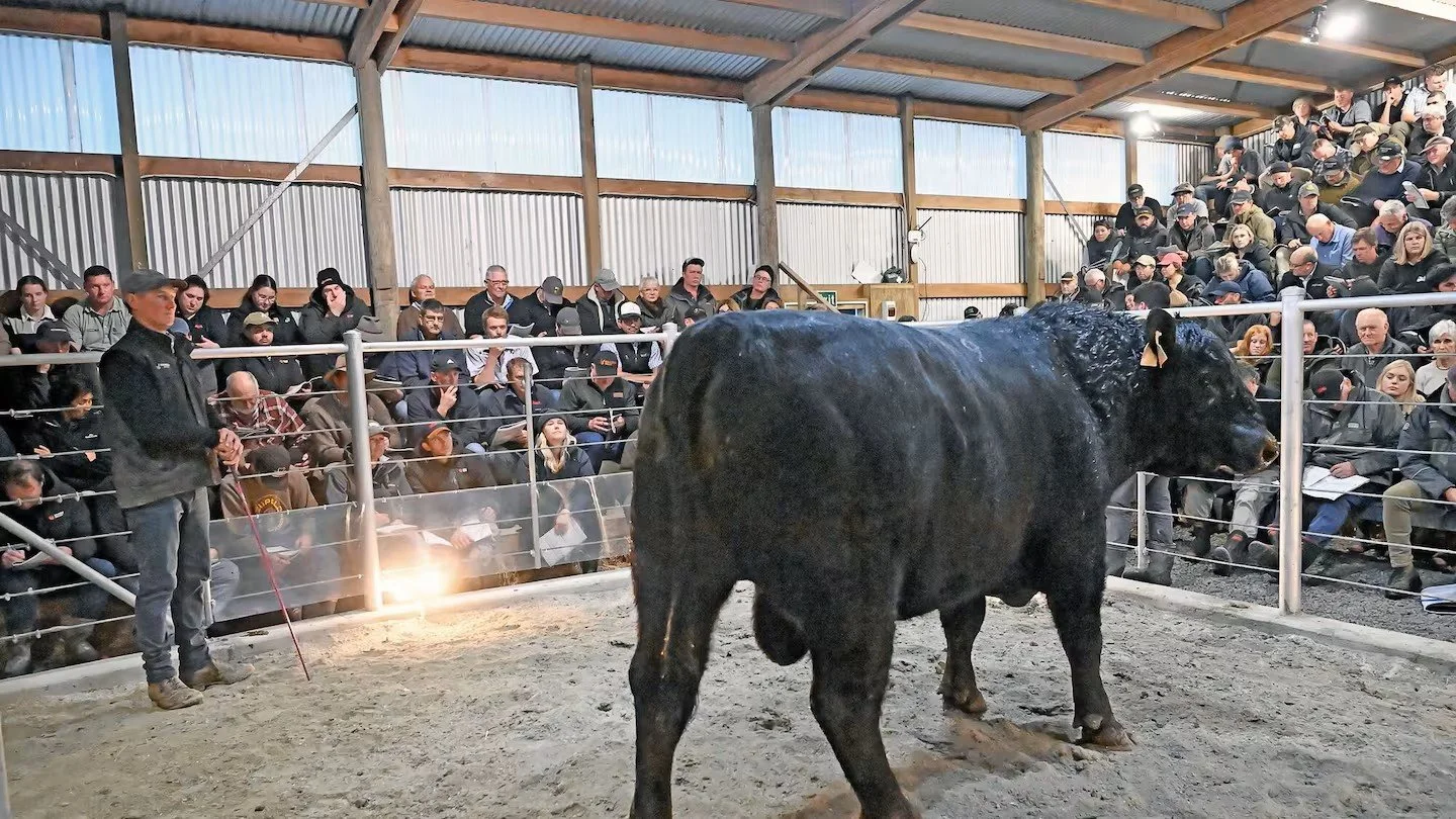 We Produce World-Class Beef. Now We Need a Voice to Match.
