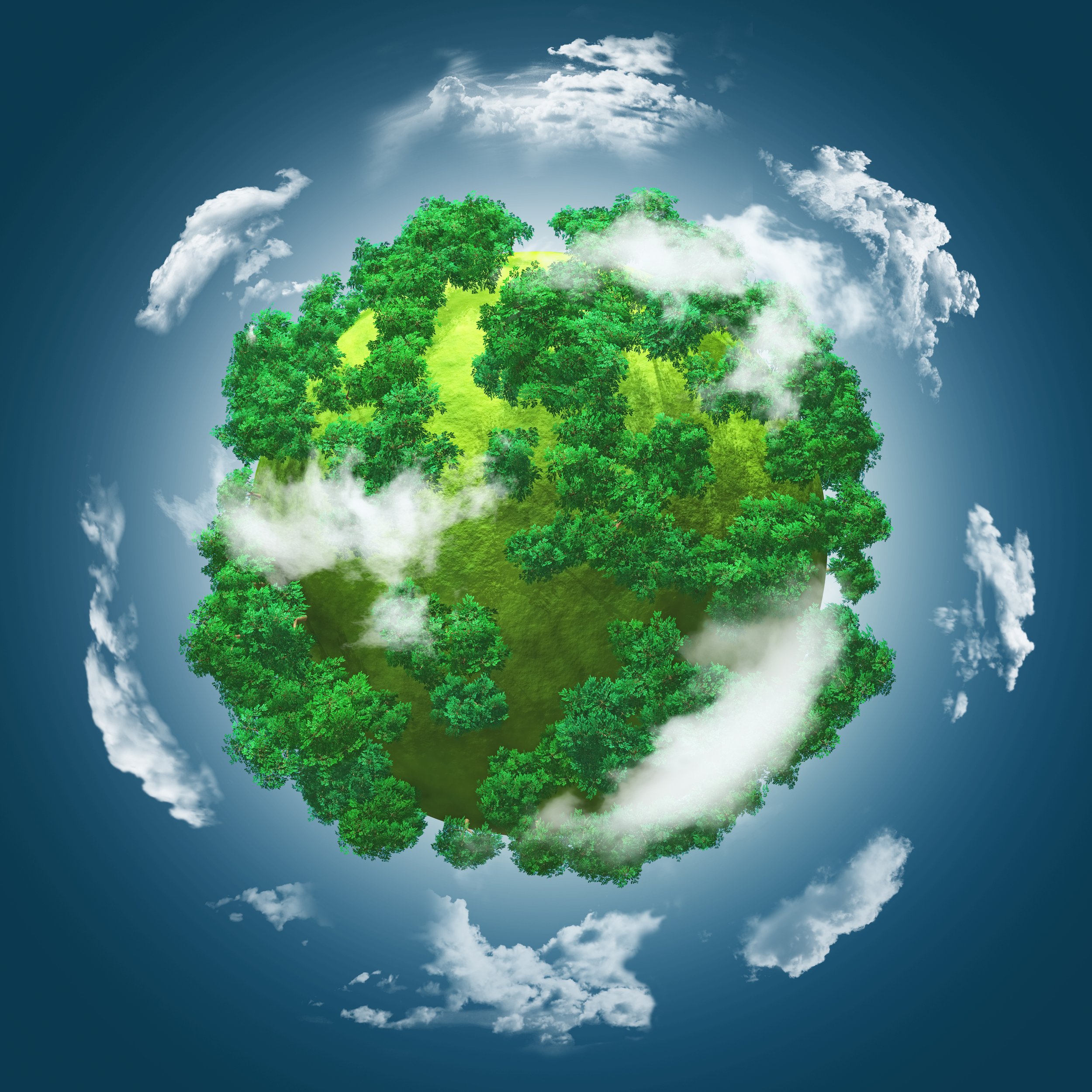 COP29 Week 1 Recap: Nature Takes a Backseat as Climate Finance Dominate