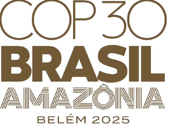 COP 30