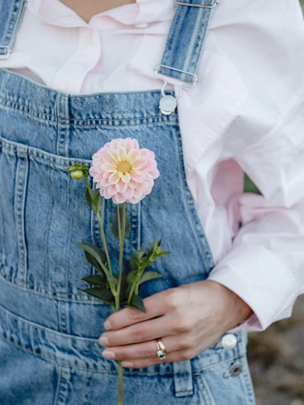 She&rsquo;s sweet, soft, and seriously hardworking&mdash;meet Florelie Strawberry Shortcake. 🍓🌸
A bloom that brings all the romance without the fuss, this dahlia is a florist fave for good reason. Think pale pinks brushed with lemon, the kind of co