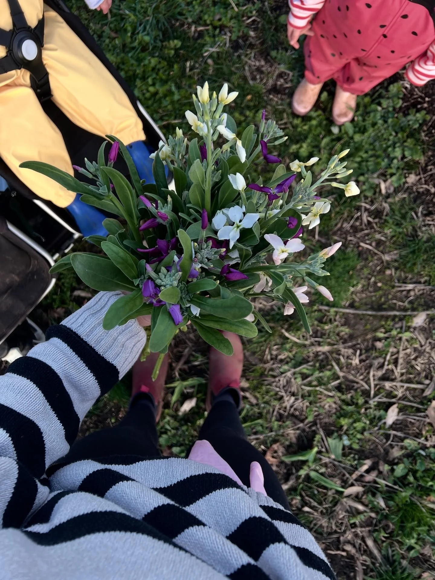 With gumboots on little feet and waders protecting their tiny bodies, we&rsquo;ve been puddle-stomping our way through these wintery days (yay, so grateful for some rain to soak into our drought stricken ground), my littlest human joining in for the 