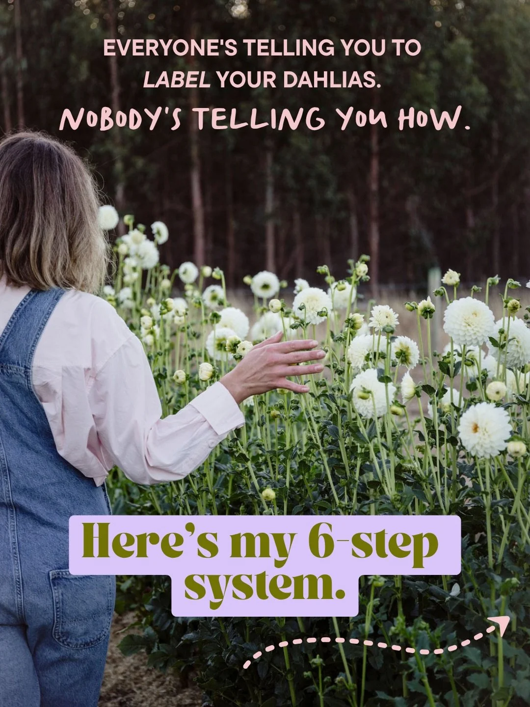 There&rsquo;s a lot of noise right now about labelling your dahlias. Most of it is people telling us to &ldquo;make sure you label your dahlias&rdquo; and I wanted to share with you how I actually do it. 

So here&rsquo;s the practical version. My si