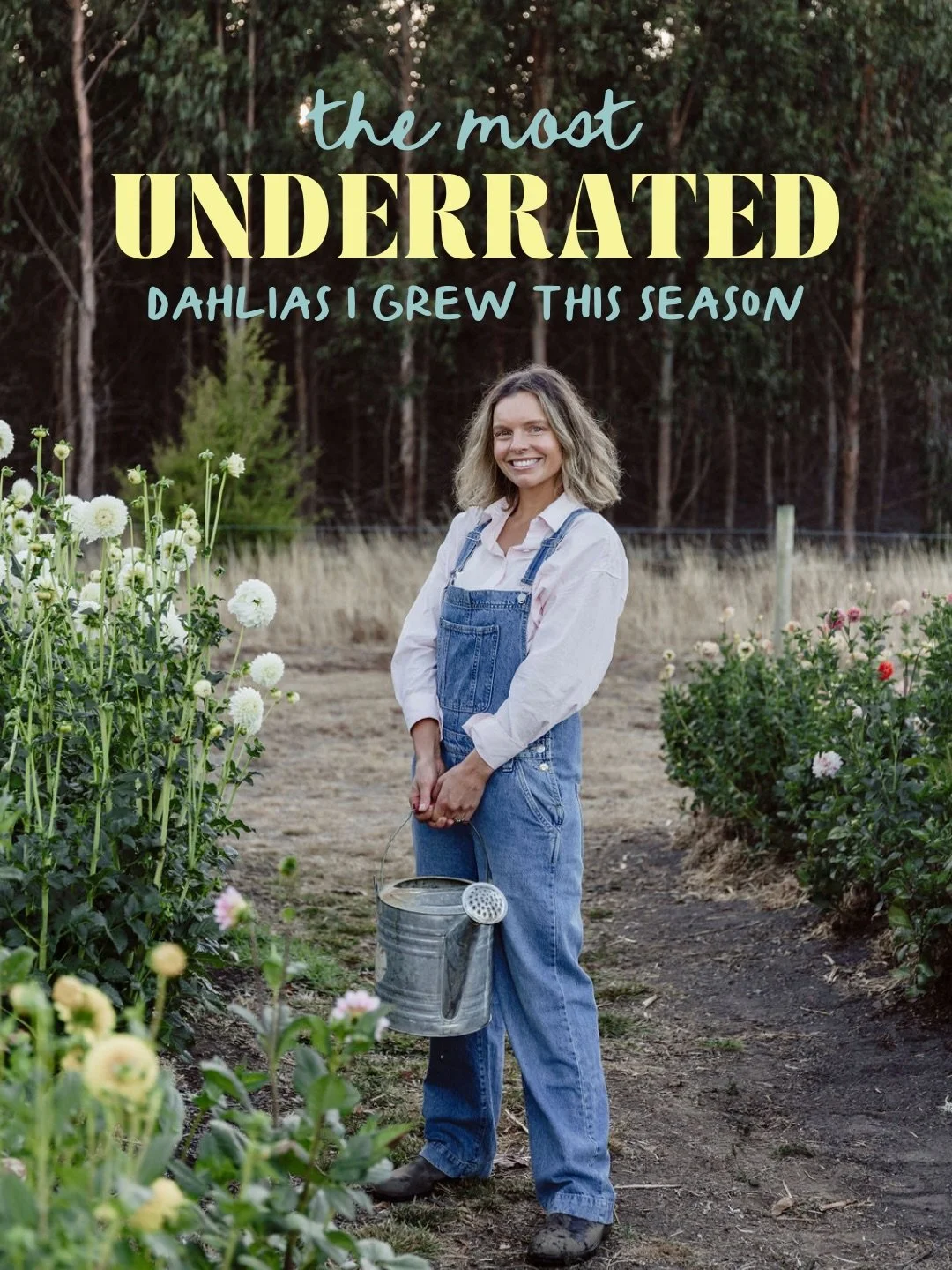 Hot take: the most famous dahlia varieties are not always the best ones.
These are the ones I grow that never get the attention they deserve. Every single one has outperformed something more well-known in my patch - in the field, in the vase, or both