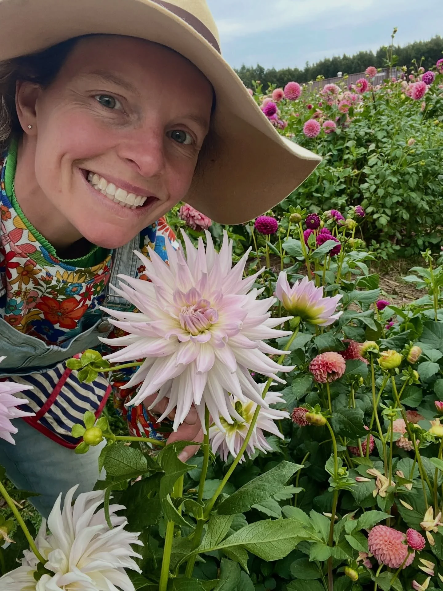 Woori Mauve.
A variety found growing in the garden of a beautiful homestead in the Western Districts of Victoria, most likely planted by my godmother&rsquo;s mother-in-law, long before either of us were this obsessed with dahlias. 
She found it. She 