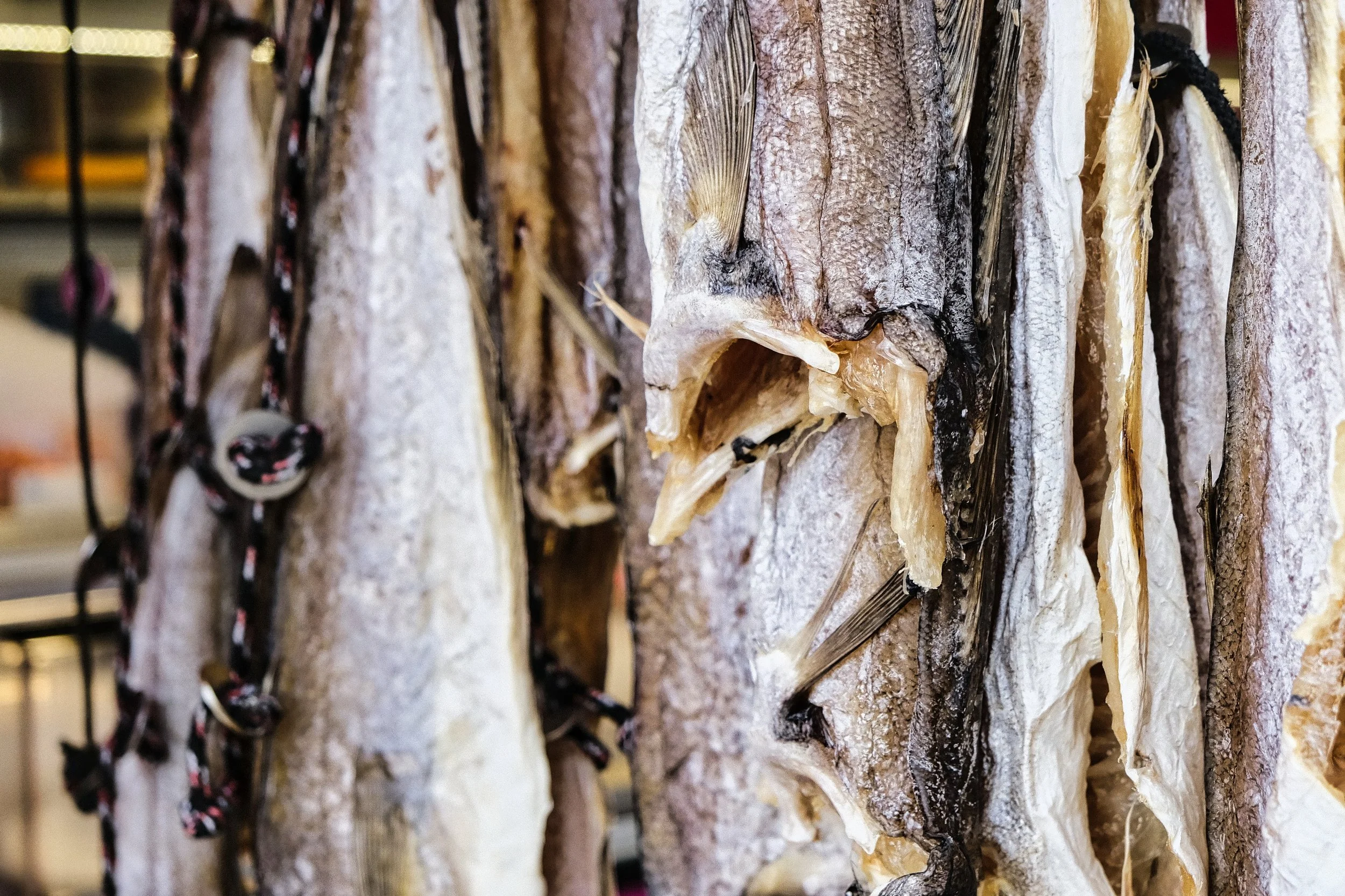 Fish Drying - Ostend