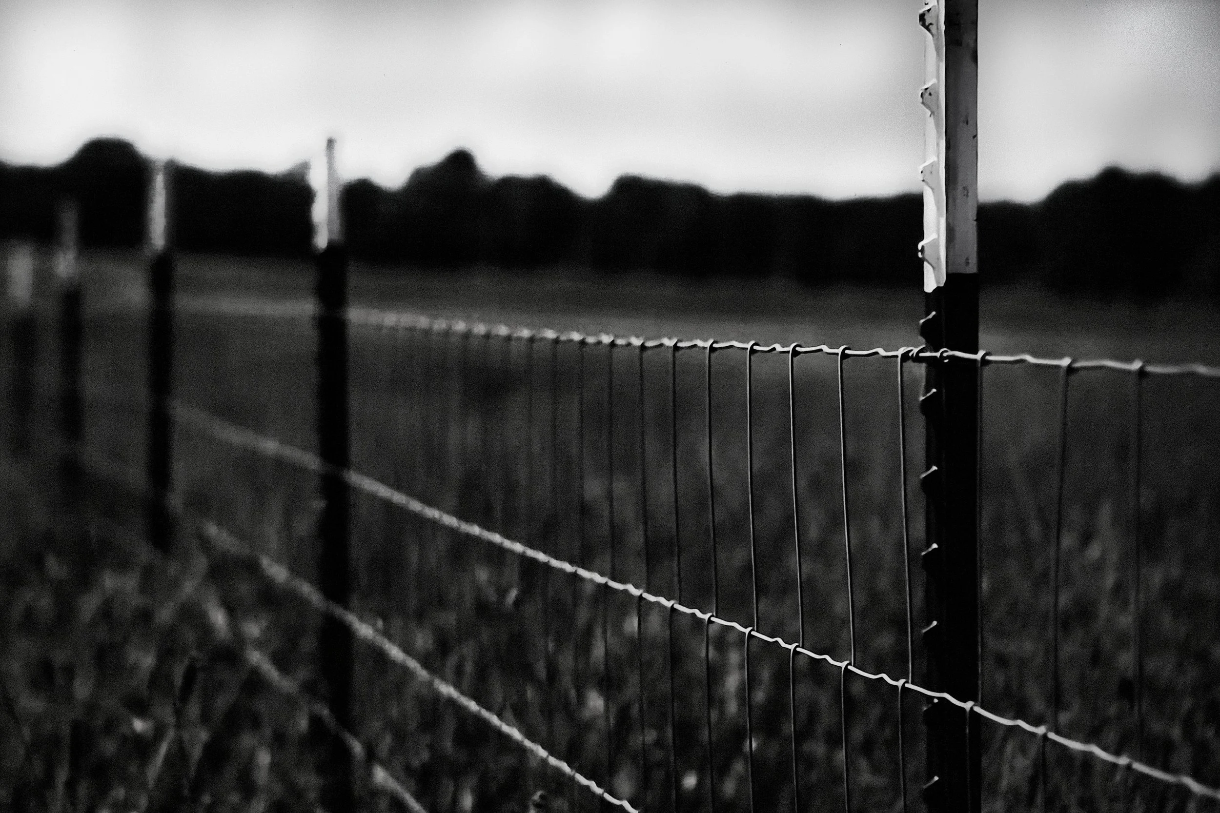 Autumn Nightfall - Ingelmunster