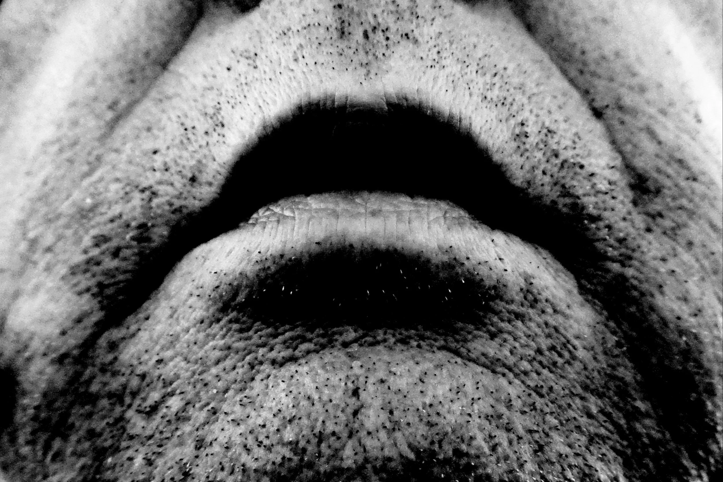 Mouth - Studio Dentergem