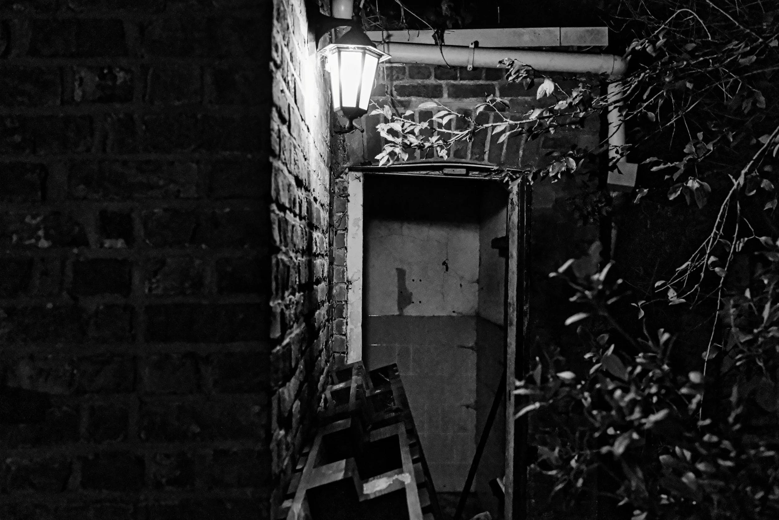 Backyard N8W8 - Tielt