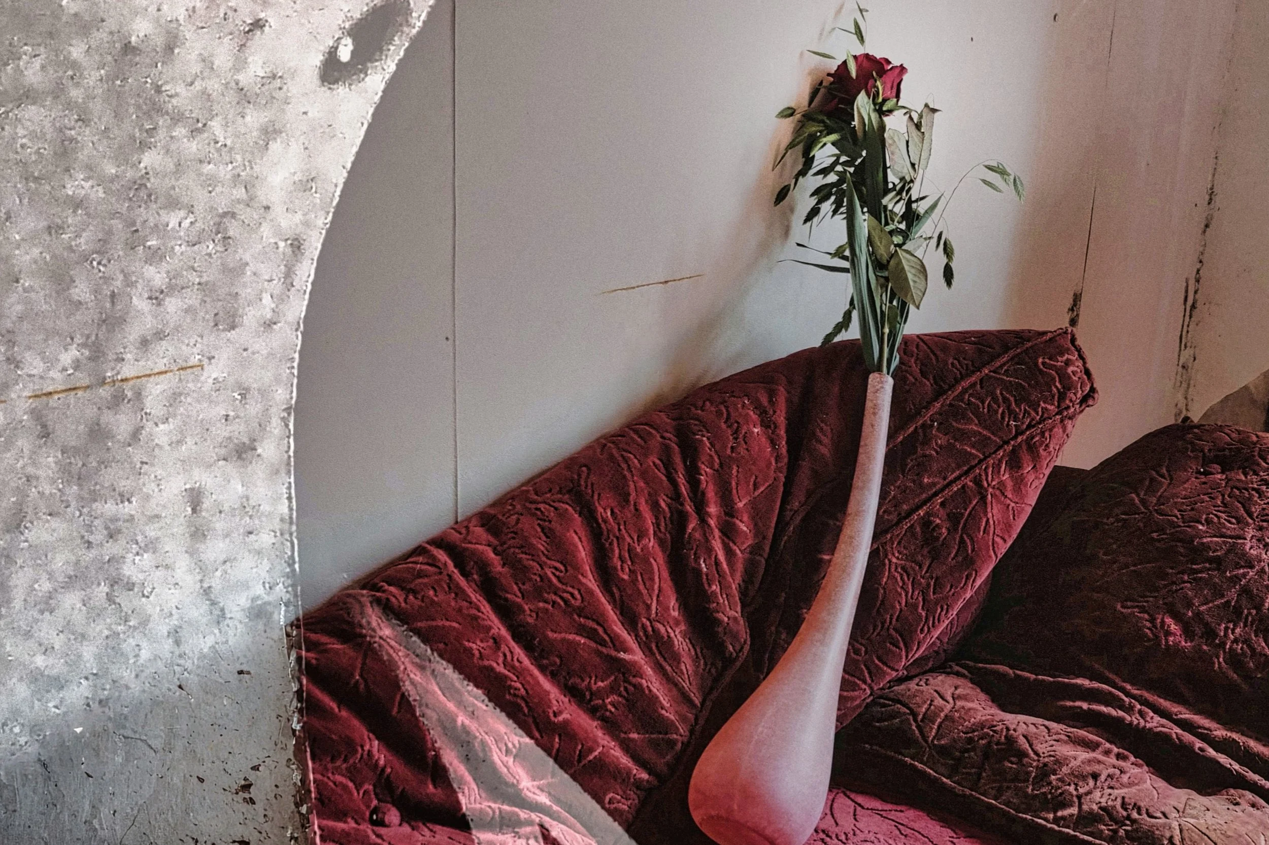 Velvet Rose - Studio Dentergem