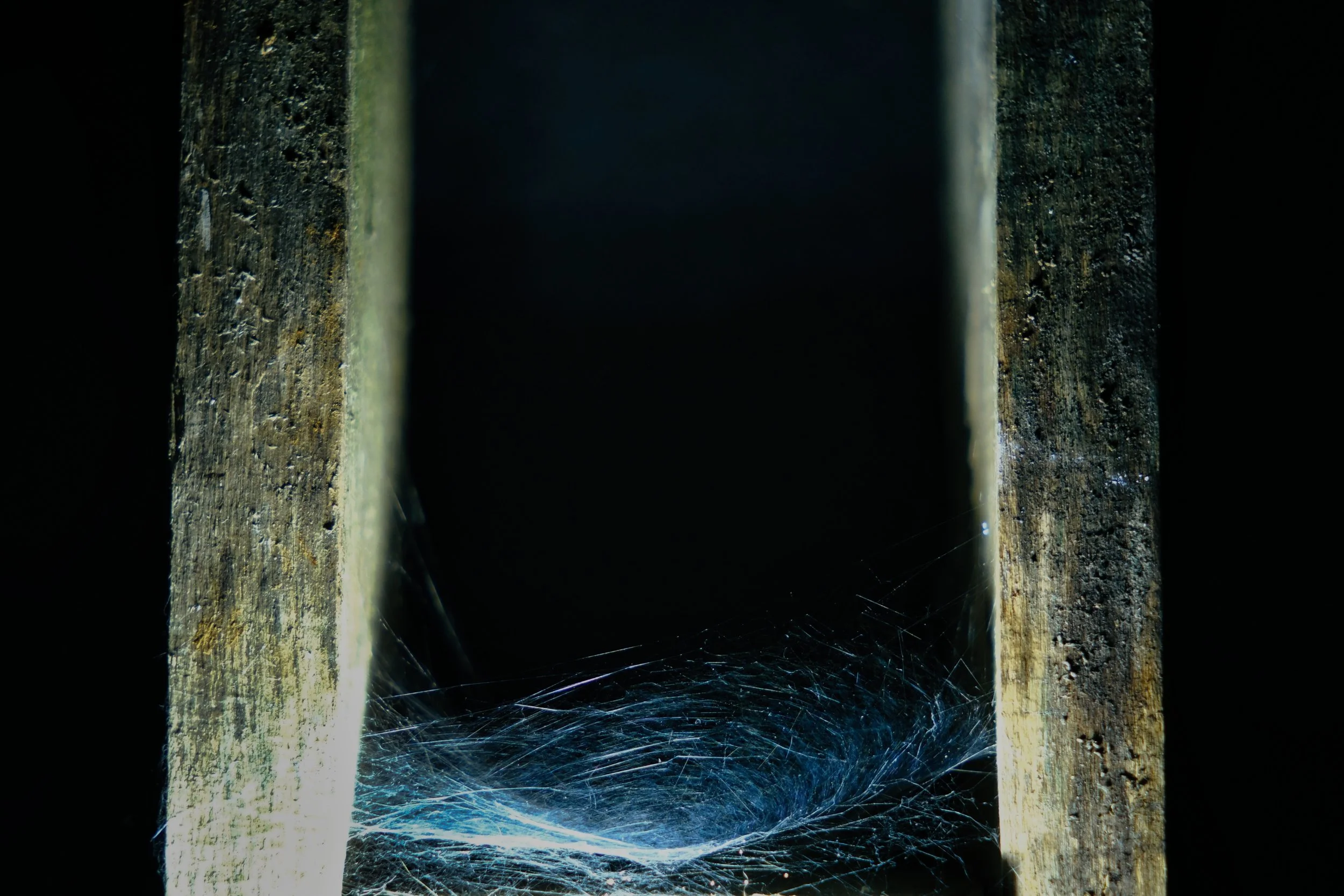 10/05/2026 - Rhythm of Silence
